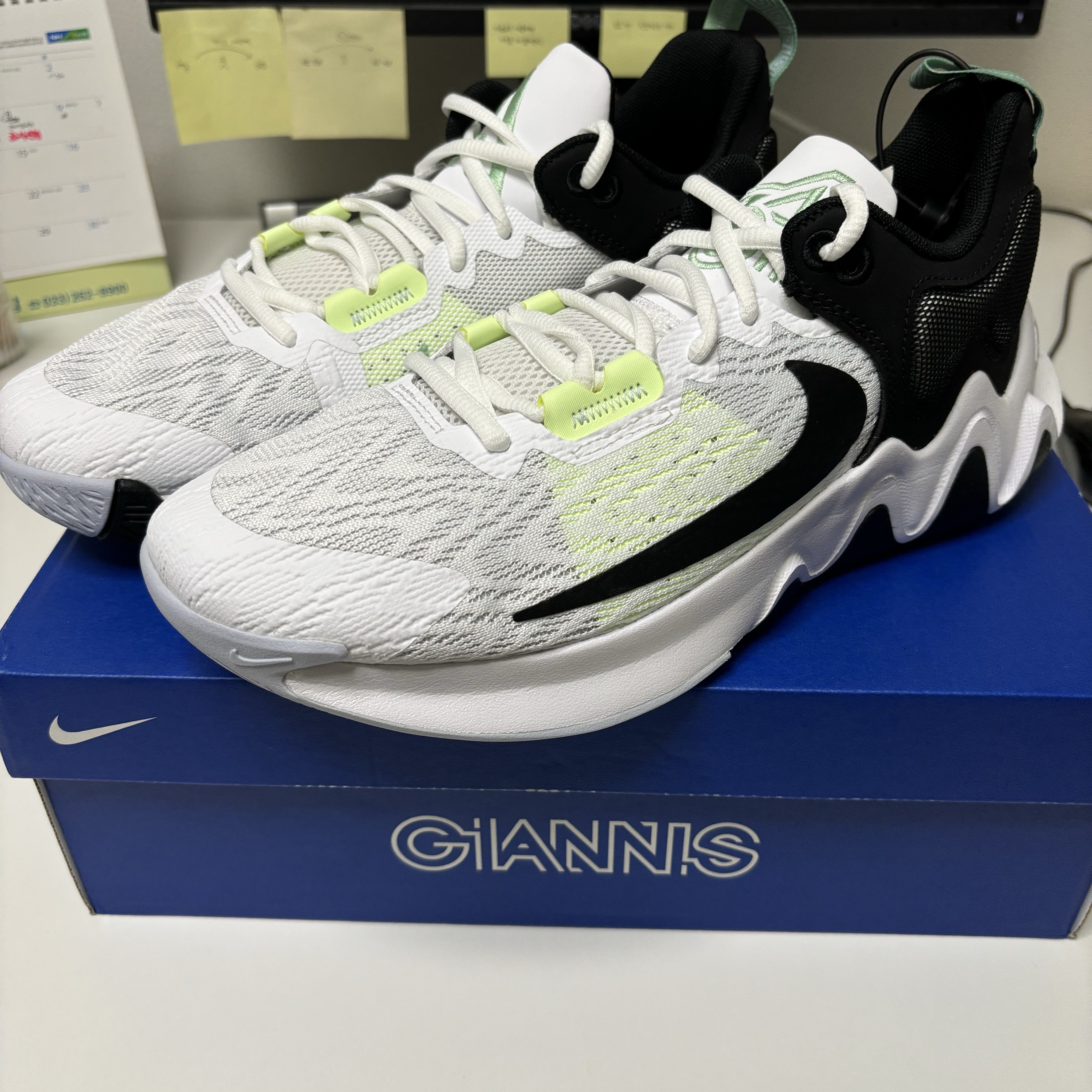 Nike Giannis Immortality 2 EP White Black 착용 스타일 - 2