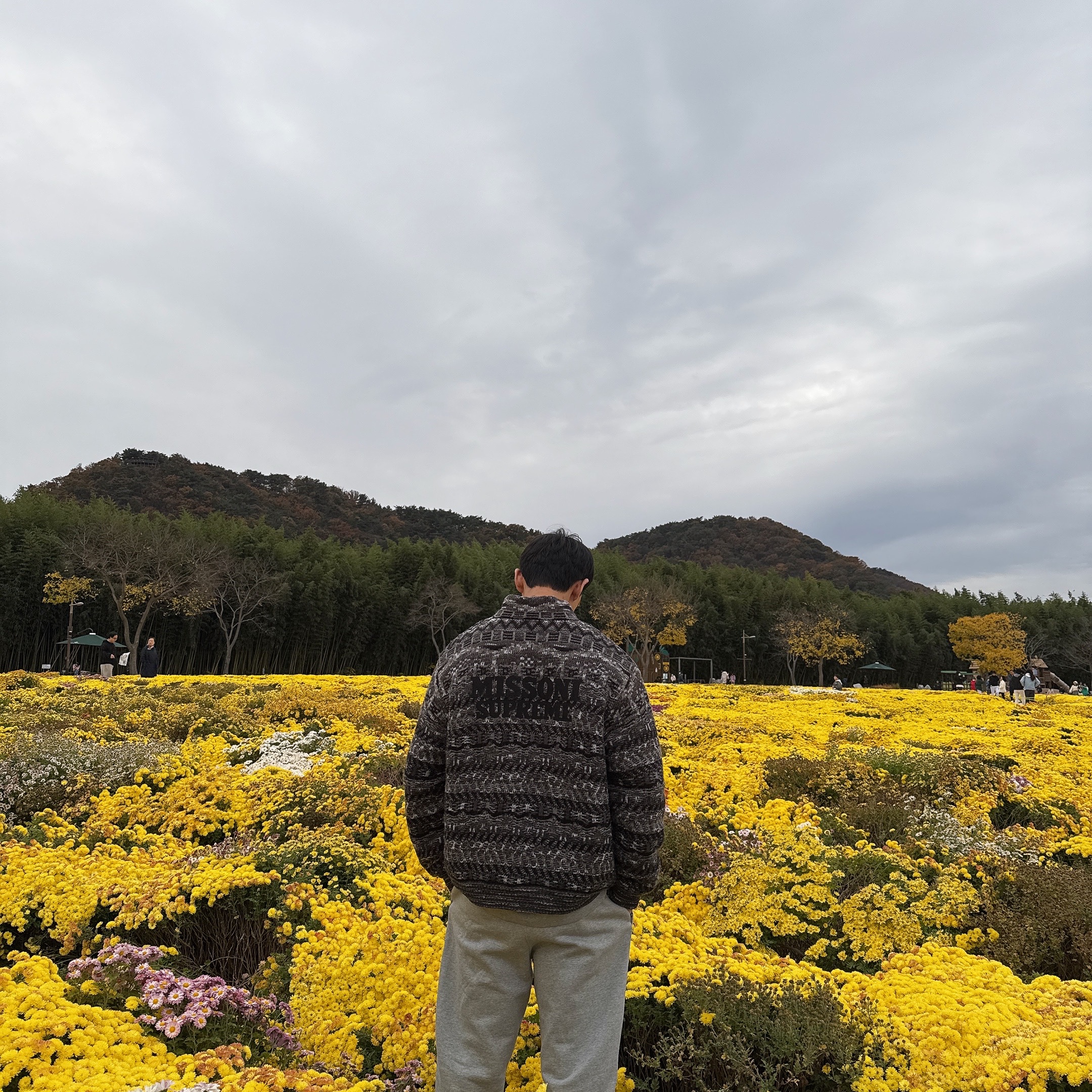Supreme x Missoni Reversible Knit Jacket Black - 21FW, Nike x Stussy NRG ZR Fleece Crewneck Heather Grey - US/EU 착용 스타일 - 3