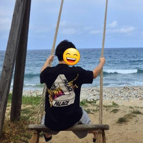Palace Korea Tri-Ferg T-Shirt Black - 24SS 착용 스타일