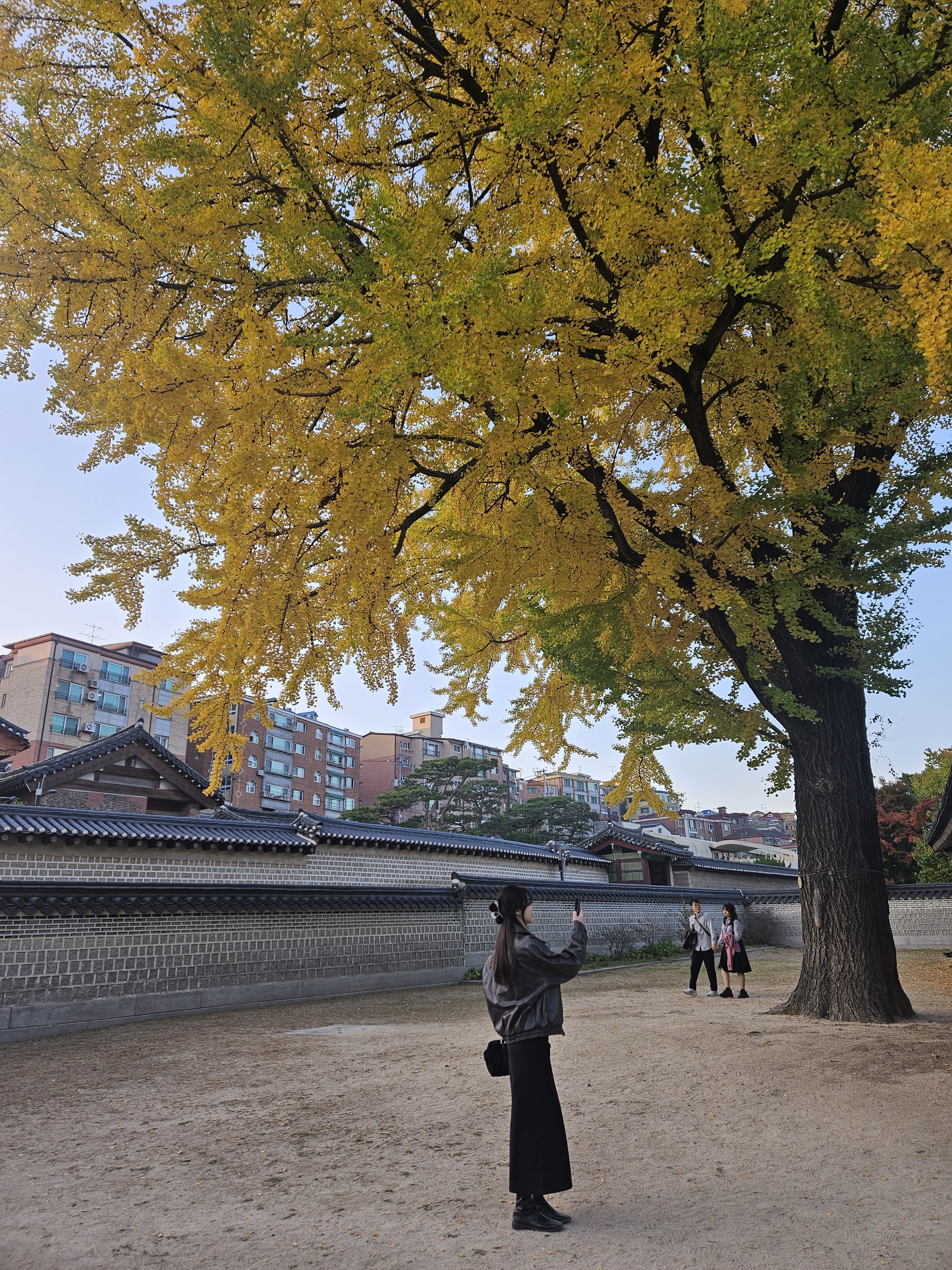 Matin Kim Sporty Tote Bag Black 착용 스타일 - 2