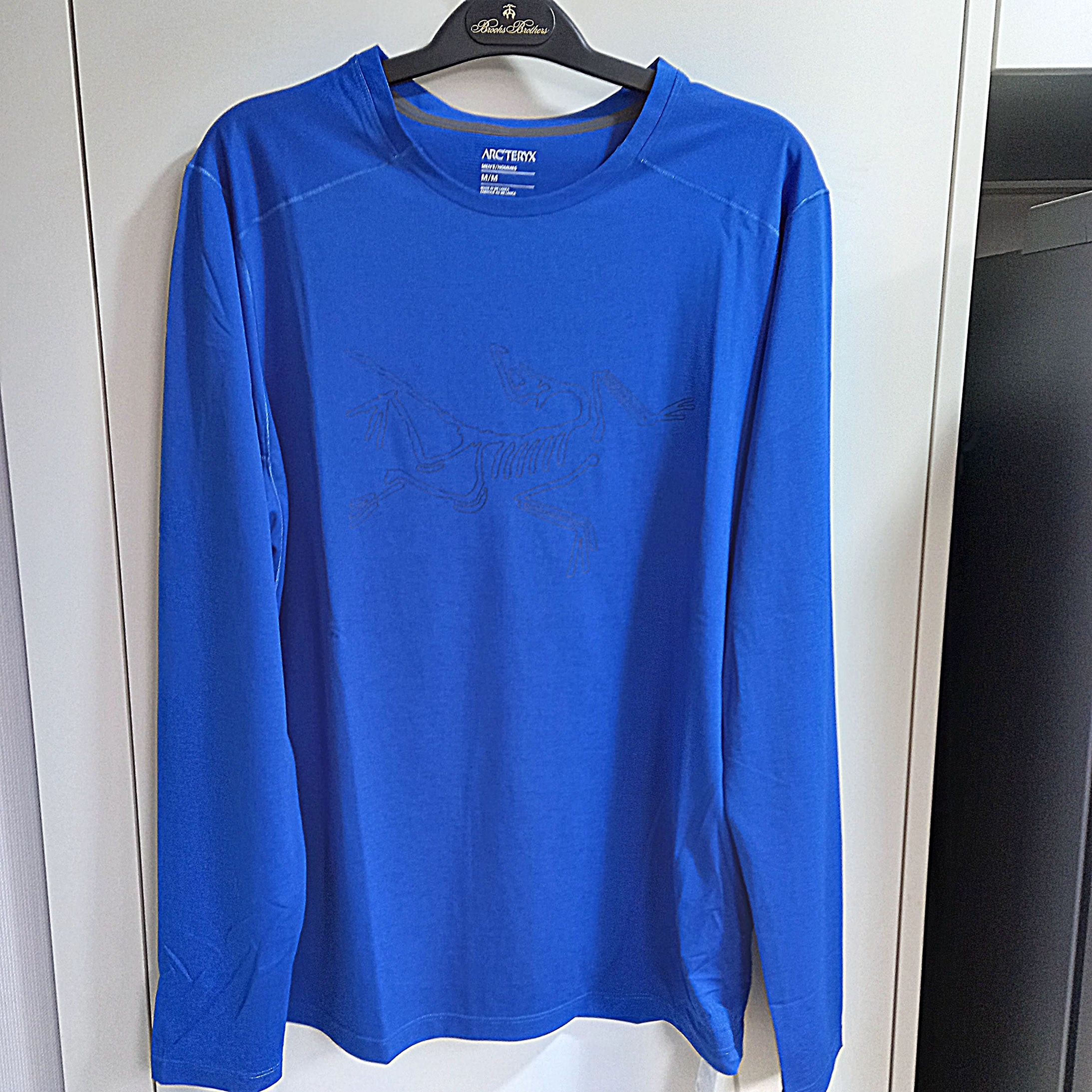 Arc'teryx Cormac Crew Neck LS T-Shirt Electra Heather 착용 스타일 - 1