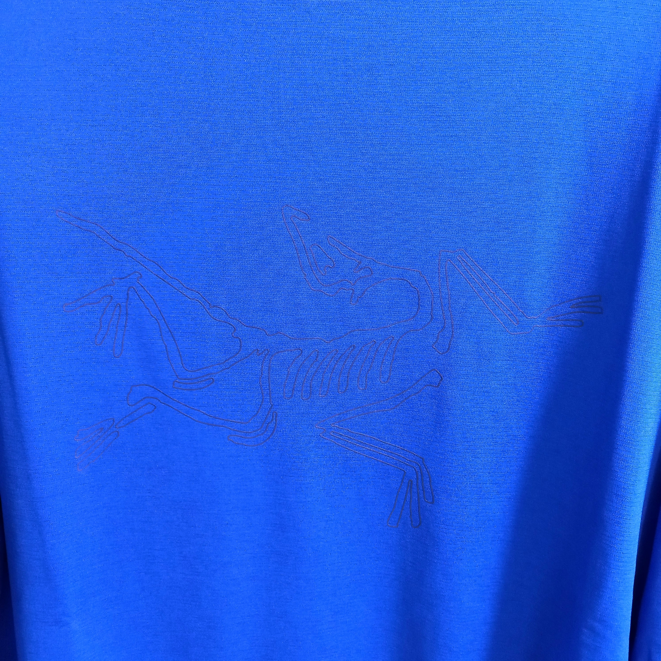 Arc'teryx Cormac Crew Neck LS T-Shirt Electra Heather 착용 스타일 - 2