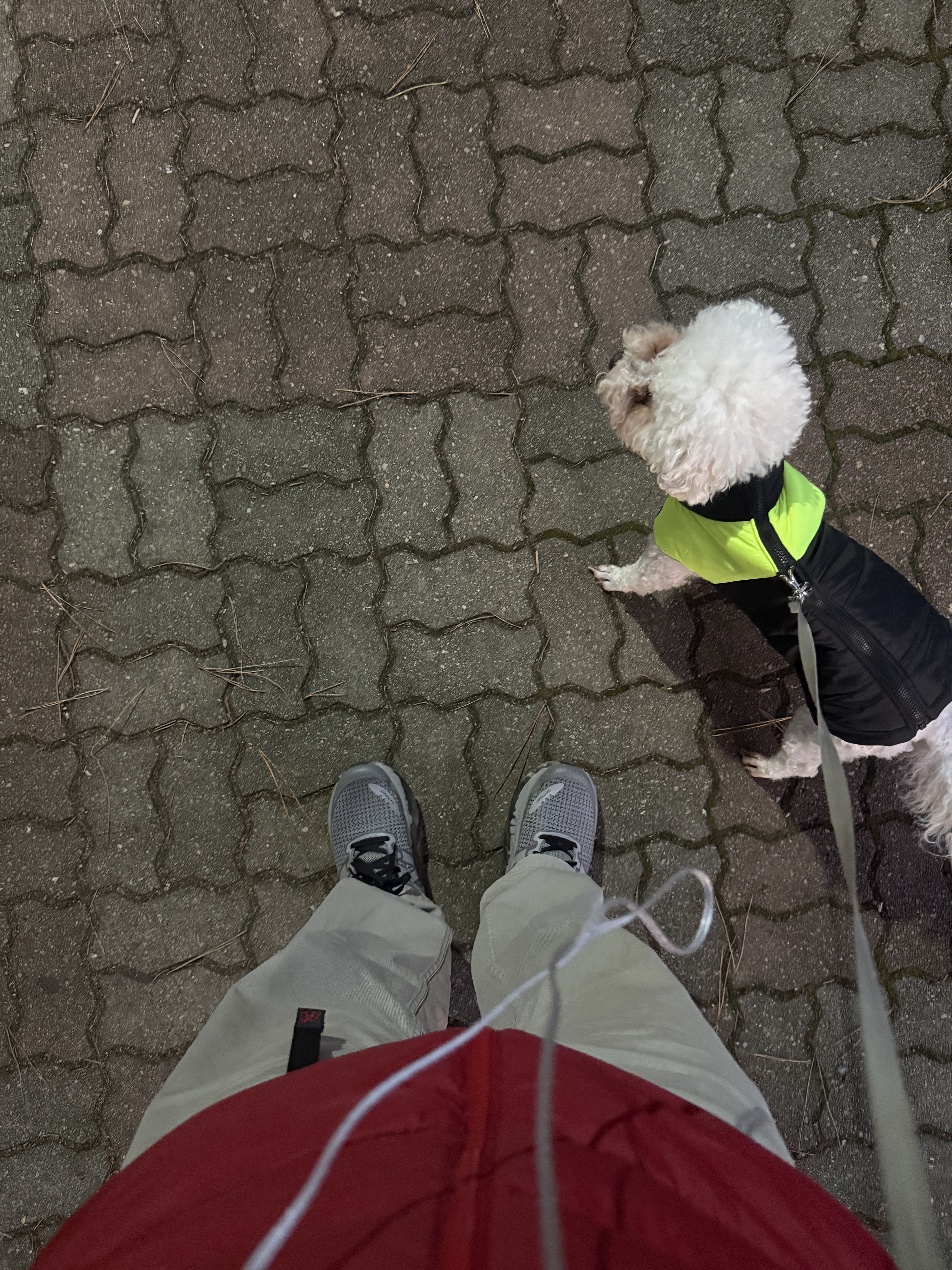 New Balance x Cayl Fresh Foam X More Trail v3 Shadow Grey, Arc'teryx Thorium Hoody Bordeaux 착용 스타일