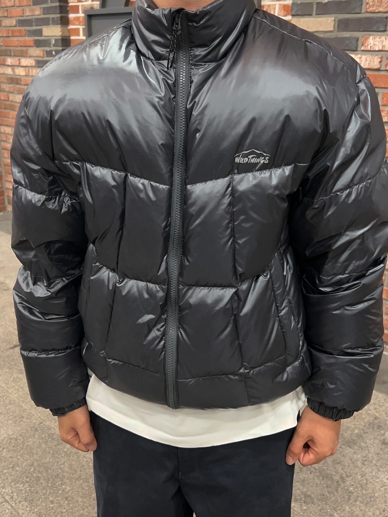 Wildthings Mountain Field Down Puffer Graphite 착용 스타일 - 2