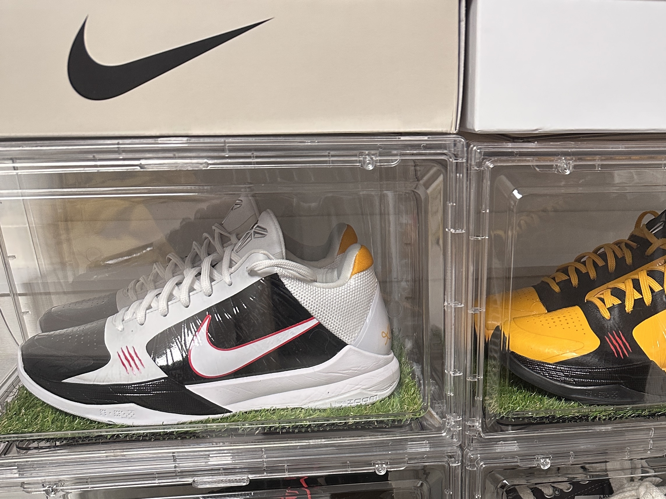 Nike Kobe 5 Protro Alternate Bruce Lee 착용 스타일