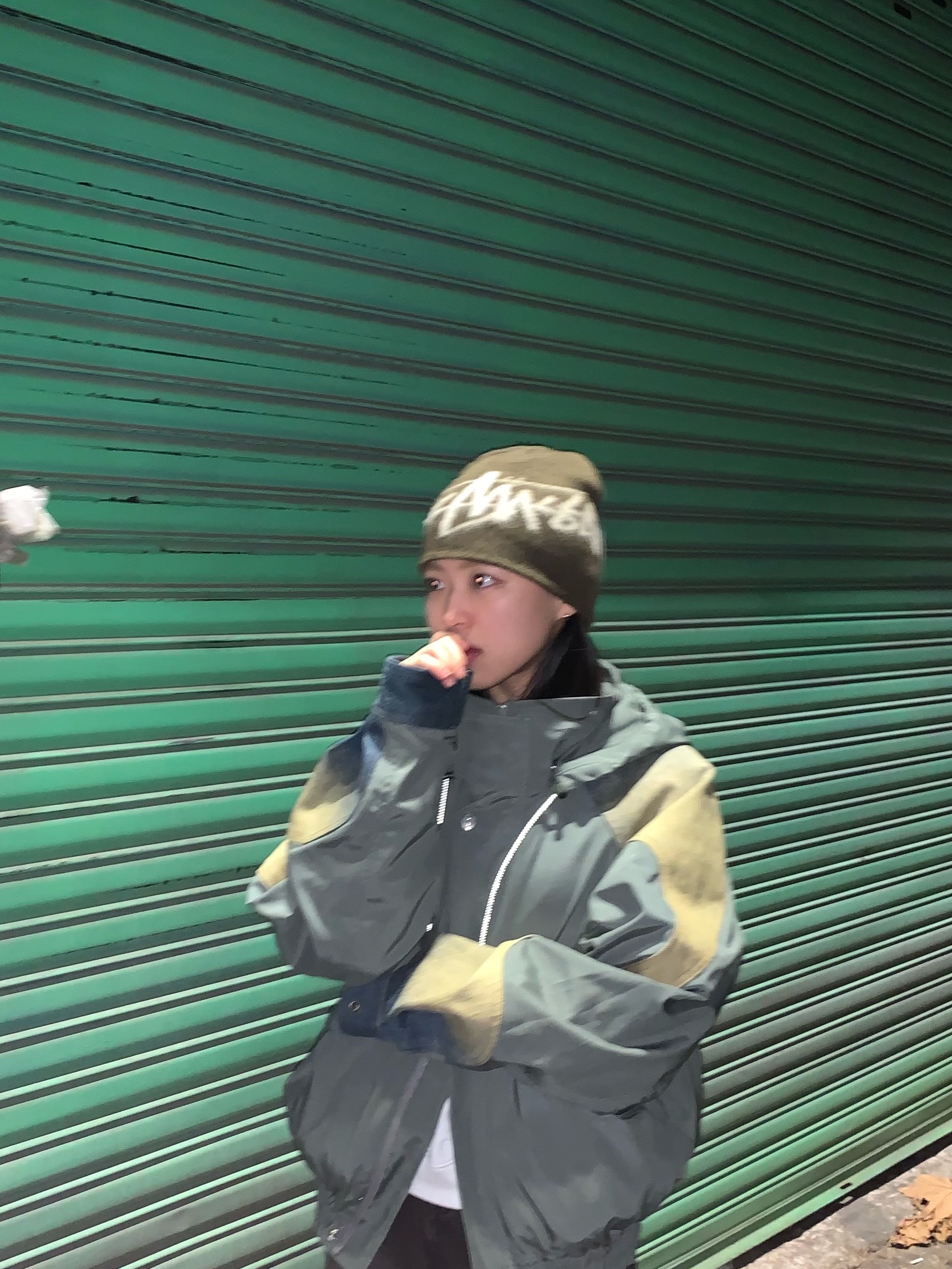 Stussy Brushed Out Stock Skullcap Beanie Brown 착용 스타일
