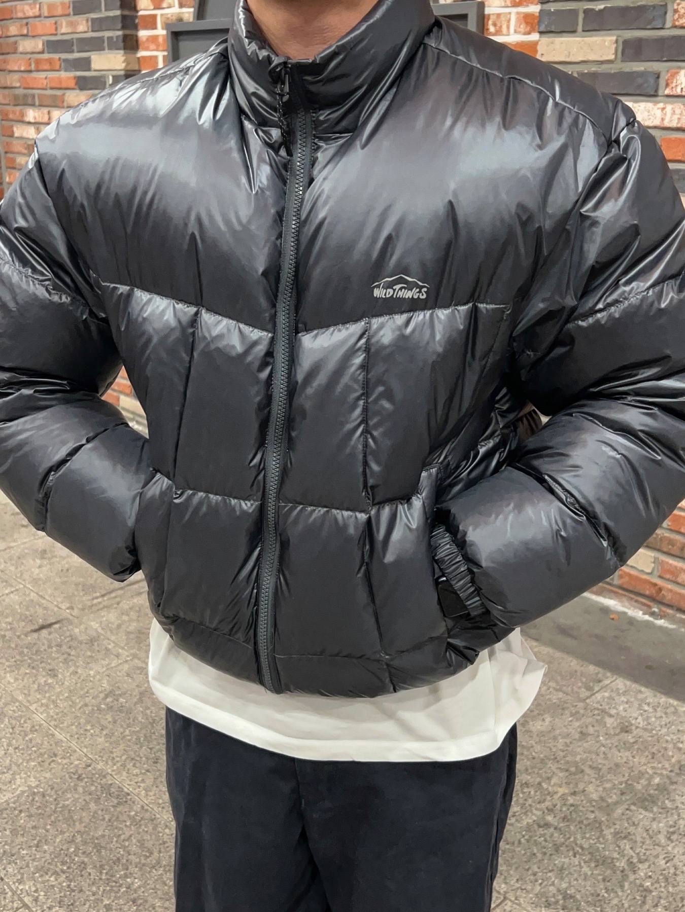 Wildthings Mountain Field Down Puffer Graphite 착용 스타일 - 1