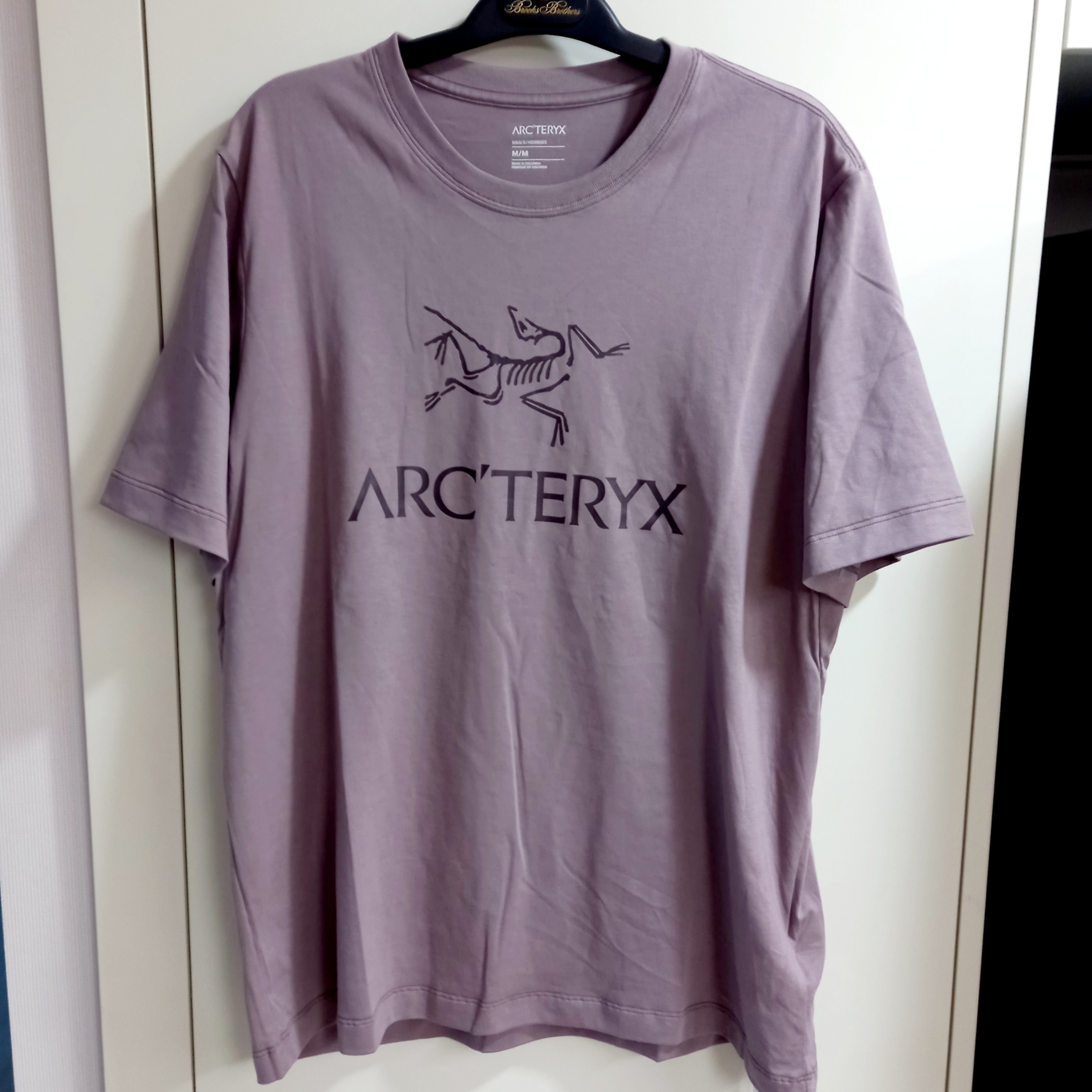 Arc'teryx Arc'word Logo SS T-Shirt Interstellar Phantasm 착용 스타일 - 1
