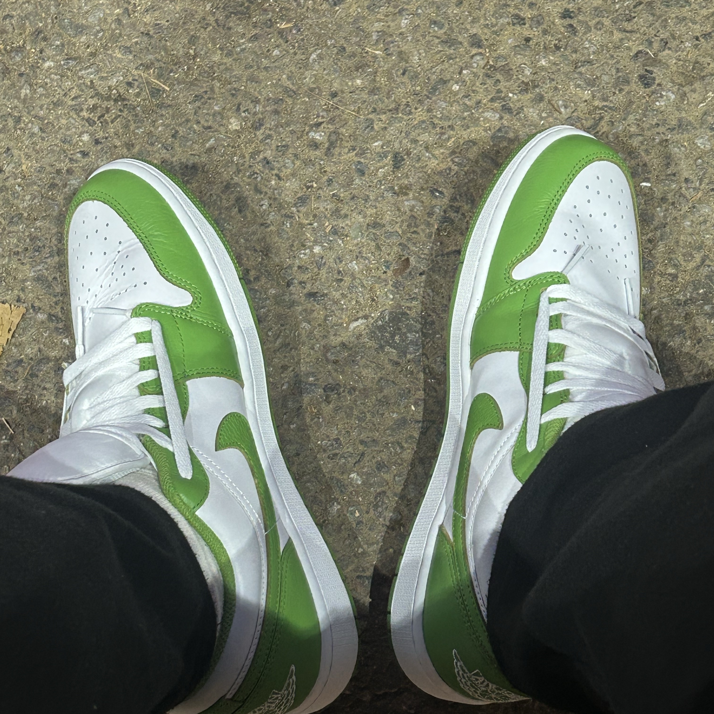 Jordan 1 Low SE White Chlorophyll 착용 스타일