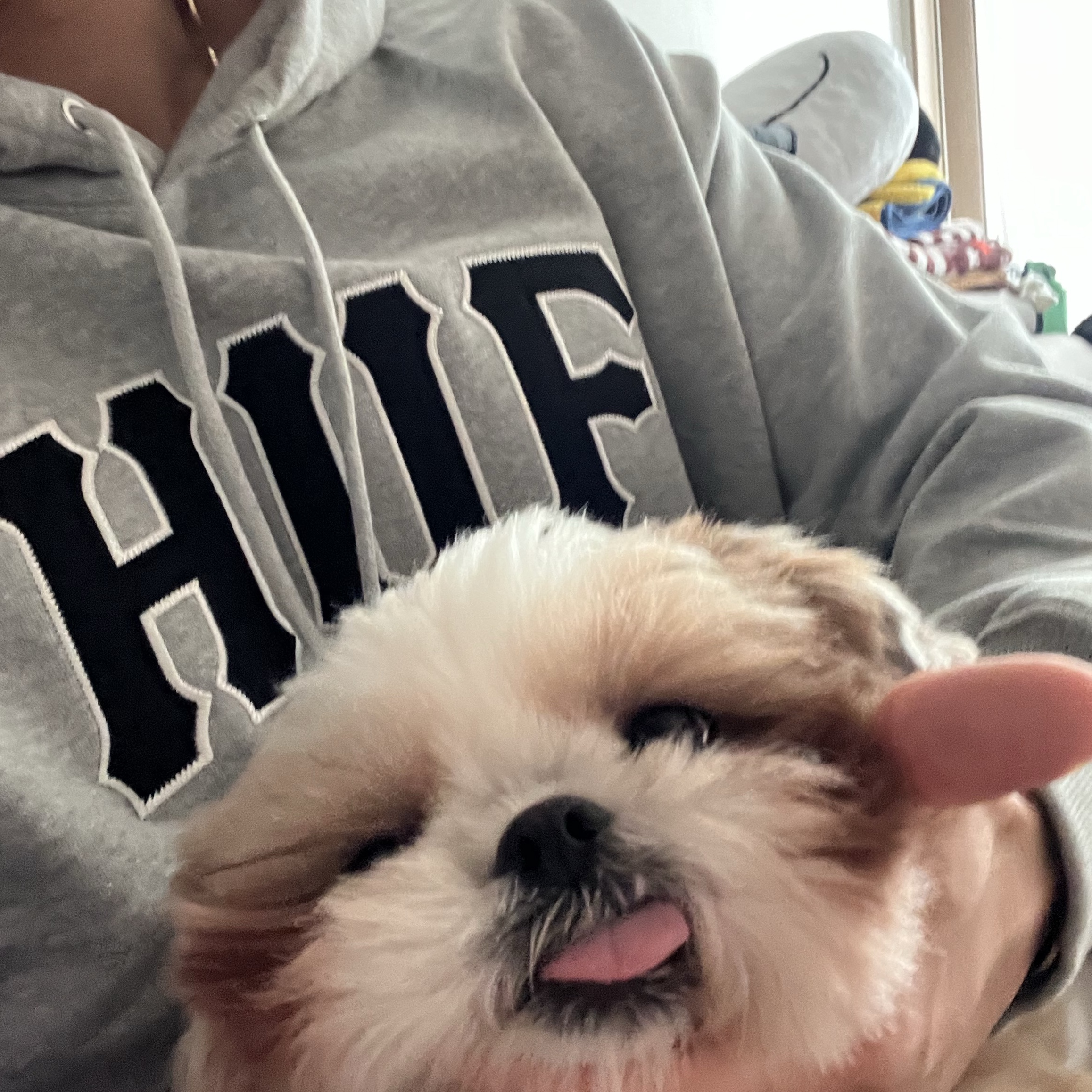 배백호님의 스타일