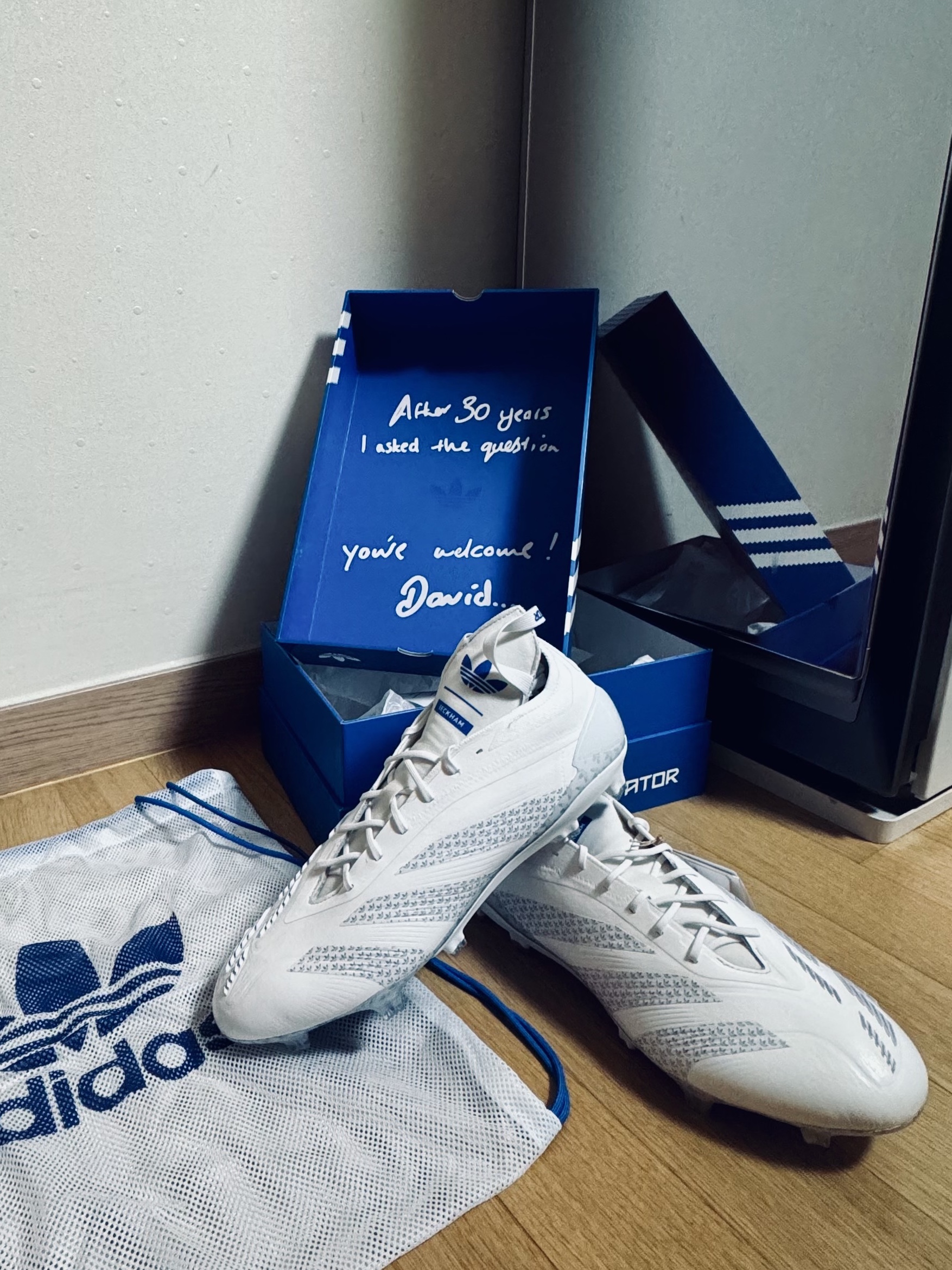 Adidas Predator Elite David Beckham FG Cloud White Blue Bird 착용 스타일