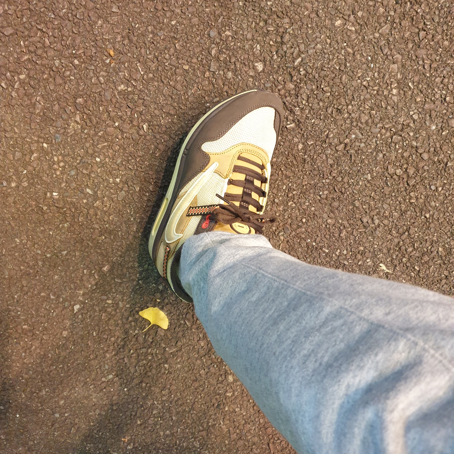 Nike x Travis Scott Air Max 1 Cact.us Brown 착용 스타일 - 2
