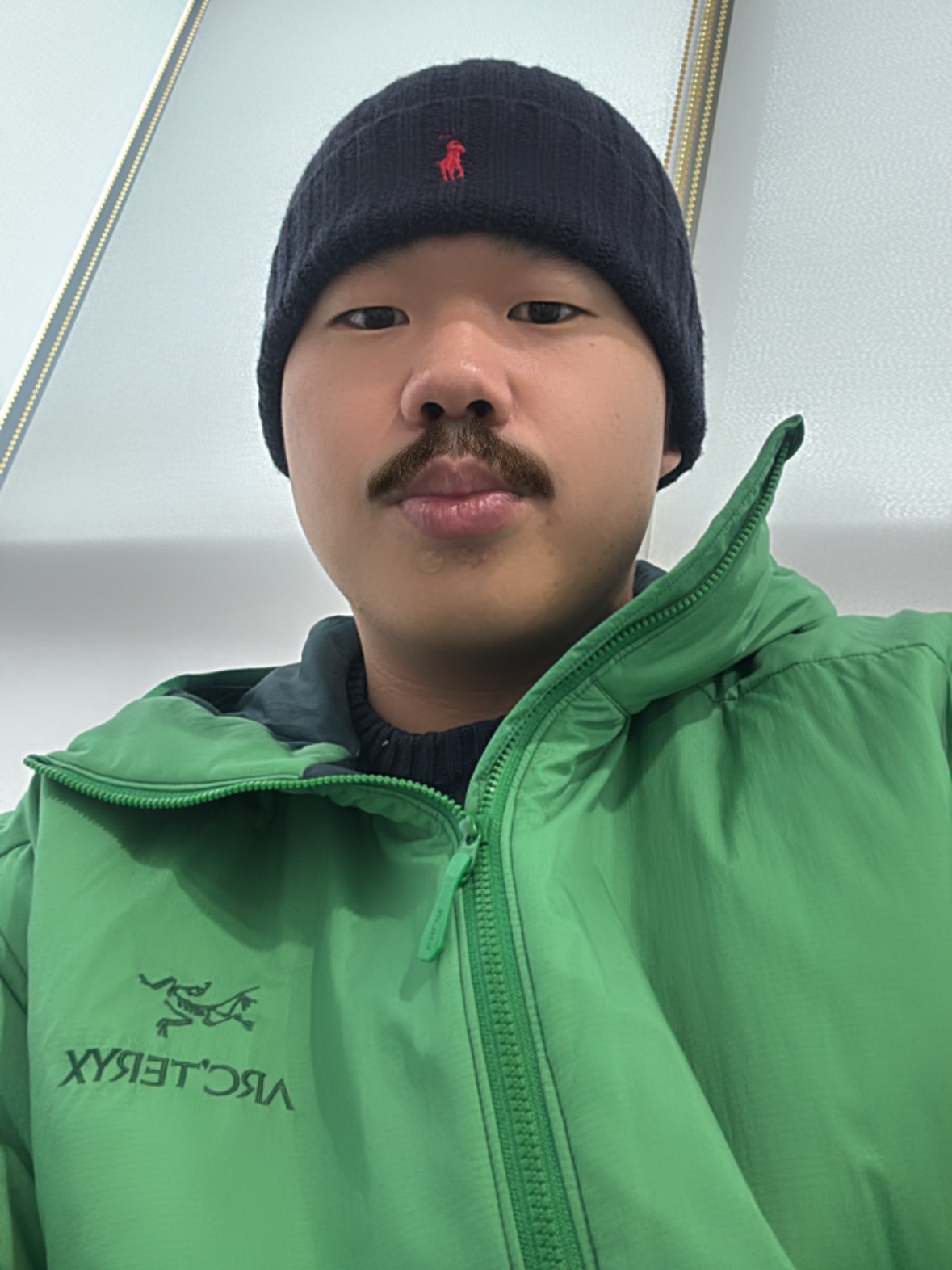Arc'teryx Atom LT Hoody Jungle 착용 스타일