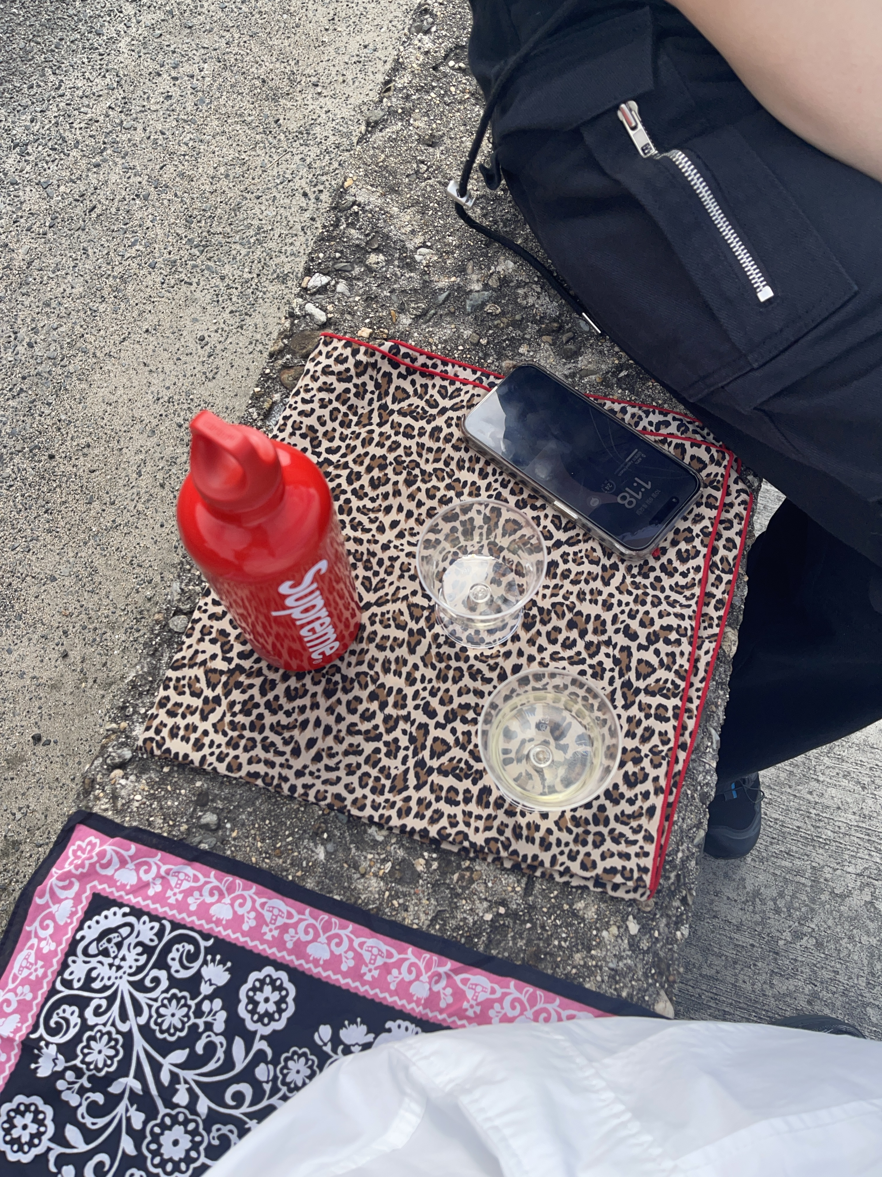 Supreme x Sigg Traveller 0.6L Water Bottle Red - 23SS, Supreme Micro Down Half Zip Hooded Pullover Black - 24FW 착용 스타일 - 4
