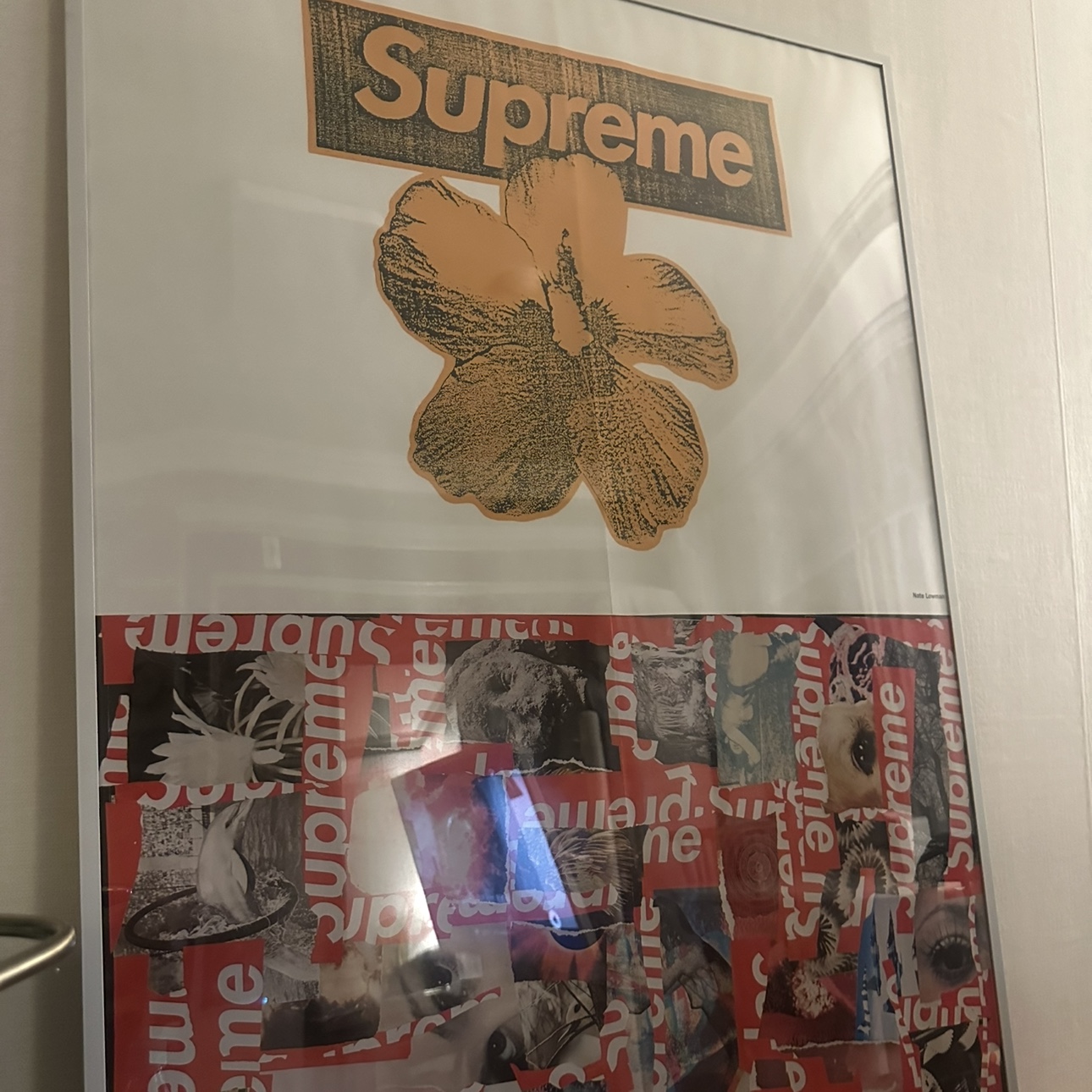 Supreme x Visla Magazine Supreme Special Issue 착용 스타일