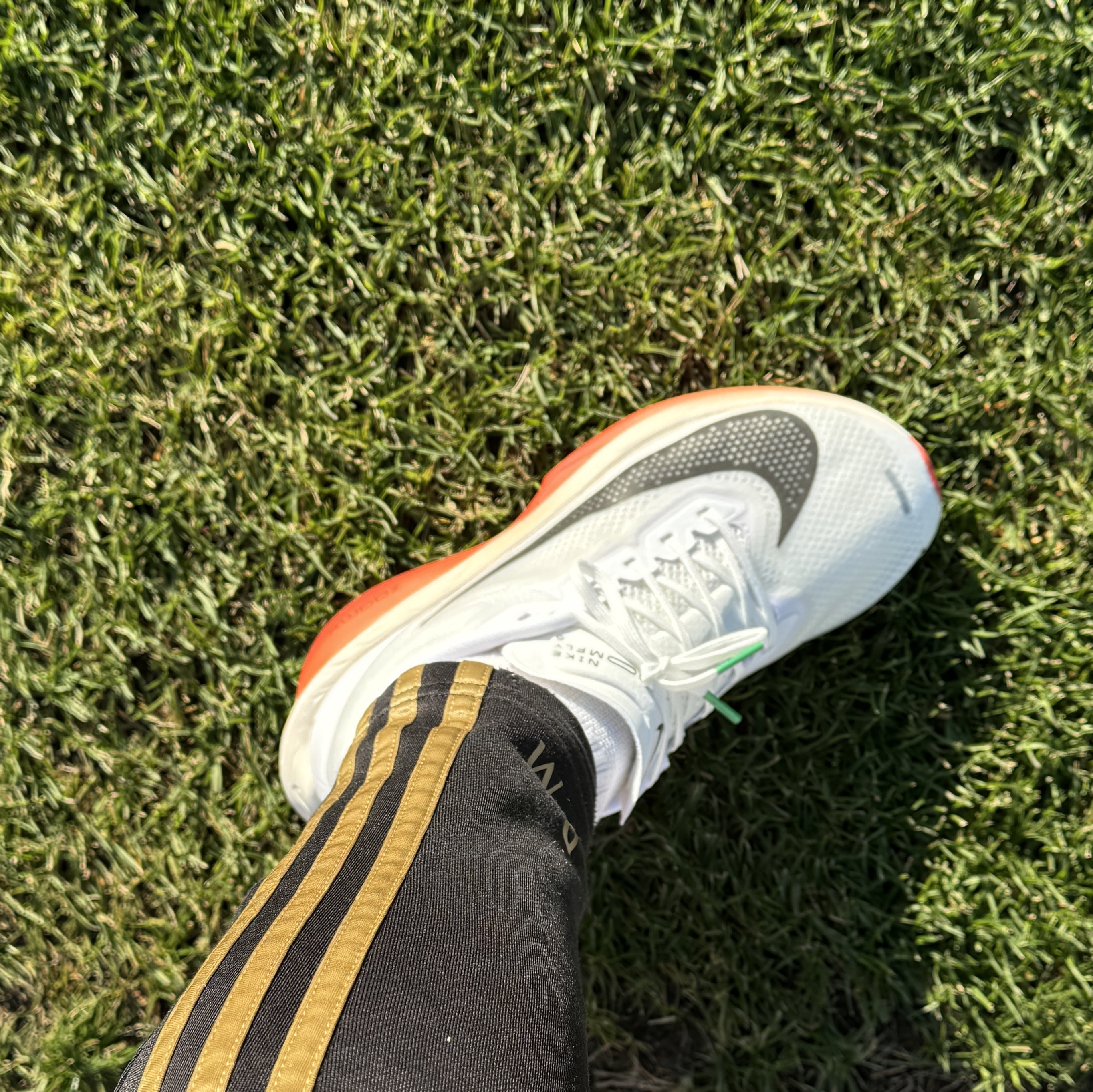 Nike Zoom Fly 6 Eliud Kipchoge 착용 스타일