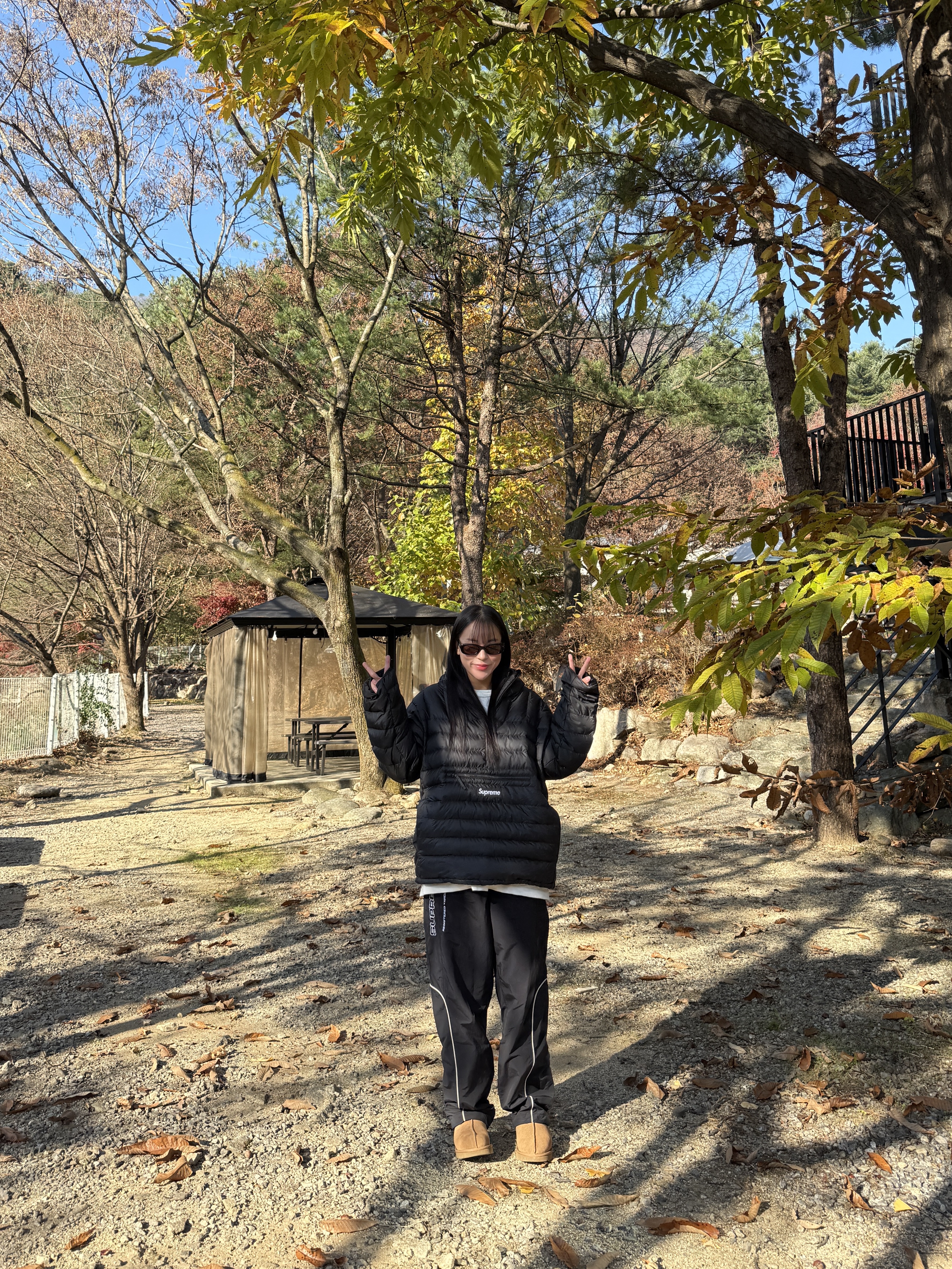 Supreme Paneled Track Pants Black - 22FW, Supreme Micro Down Half Zip Hooded Pullover Black - 24FW 착용 스타일 - 1