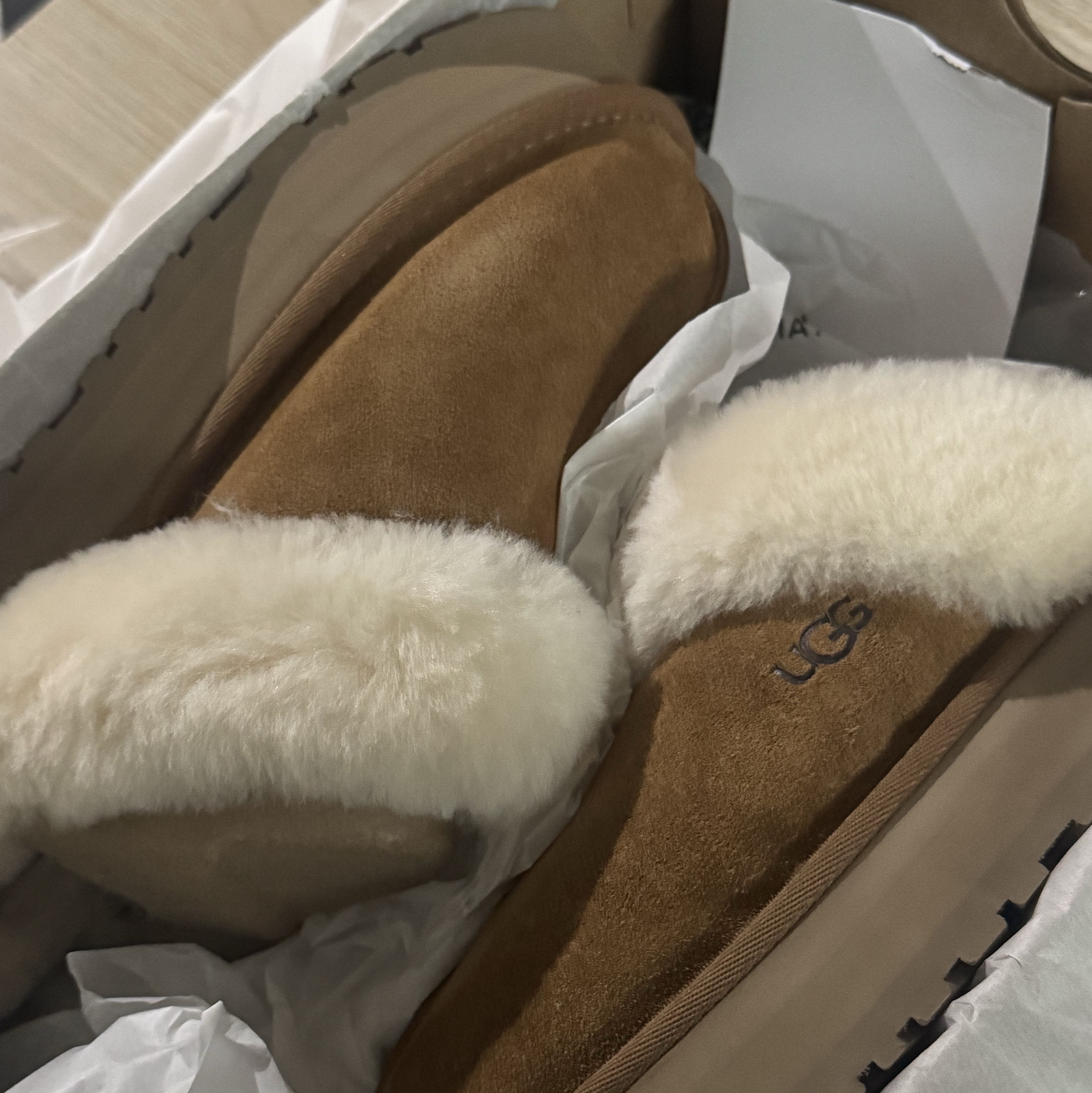 (W) UGG Disquette Slipper Chestnut 착용 스타일