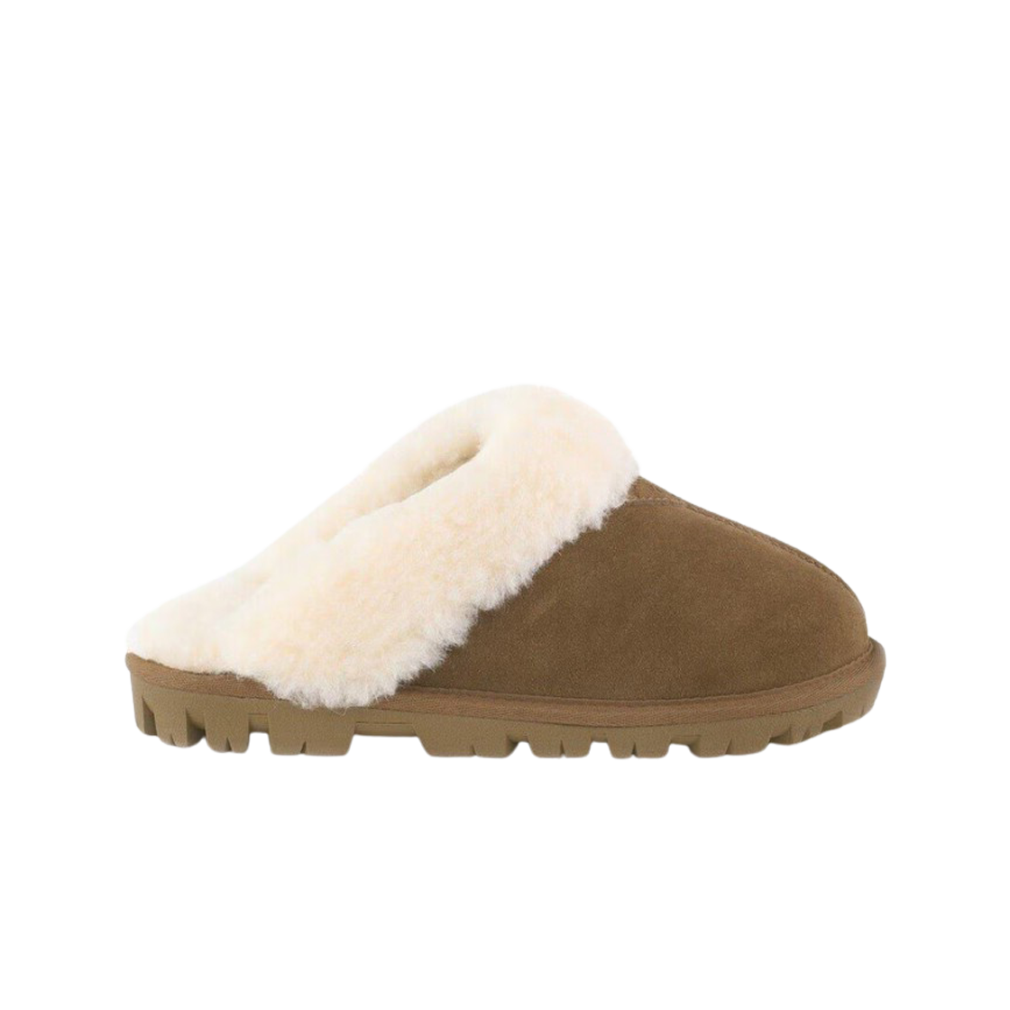 (W) 베어파우 메리 히코리((W) Bear Paw Mary Hickory)