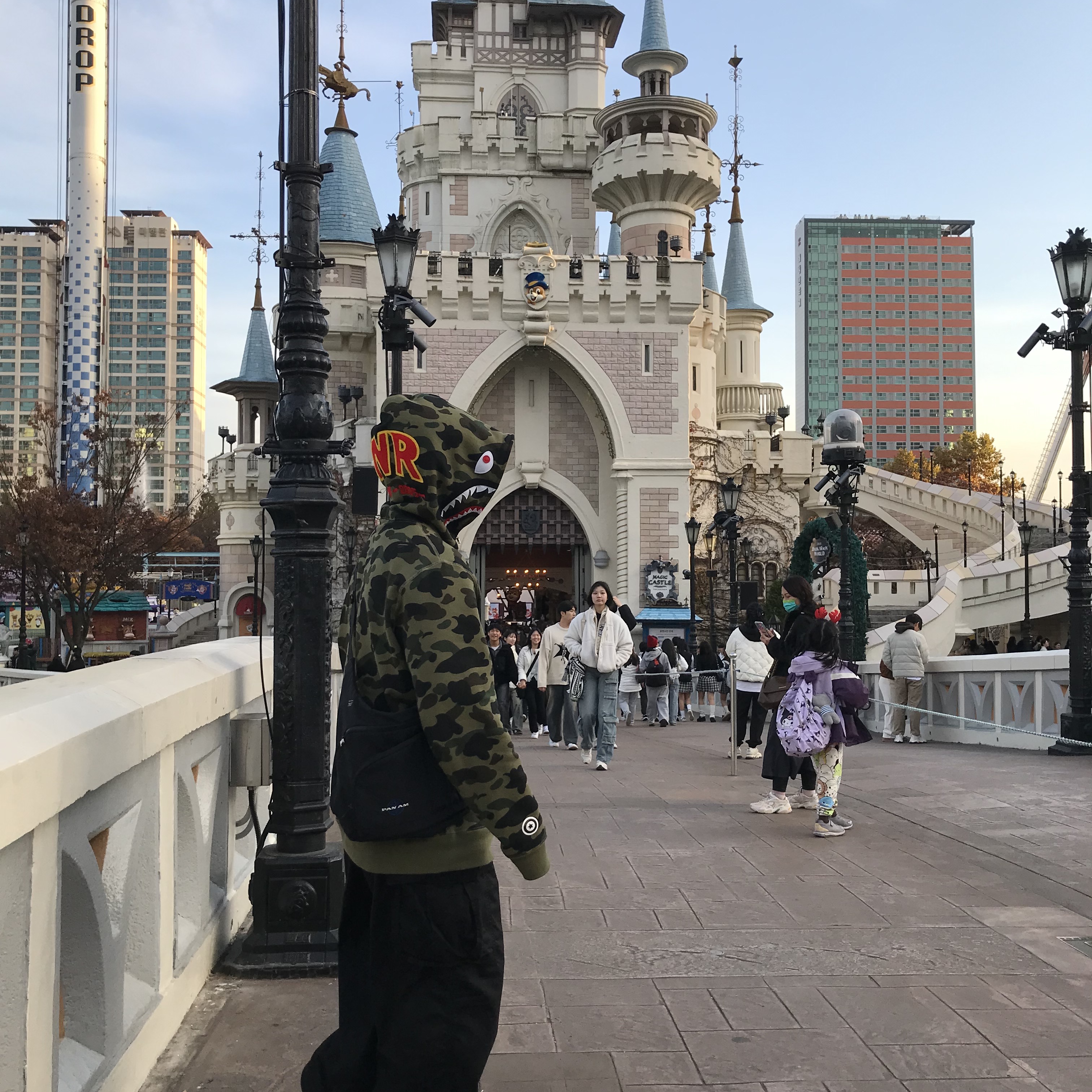 BAPE PONR 1st Camo 2nd Shark Full Zip Hoodie Green, Needles H.D. BDU Pants Black 착용 스타일 - 2