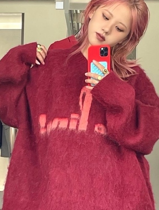 Martine Rose Brushed Mohair V-neck Jumper Red Burgundy - 24FW 착용 스타일