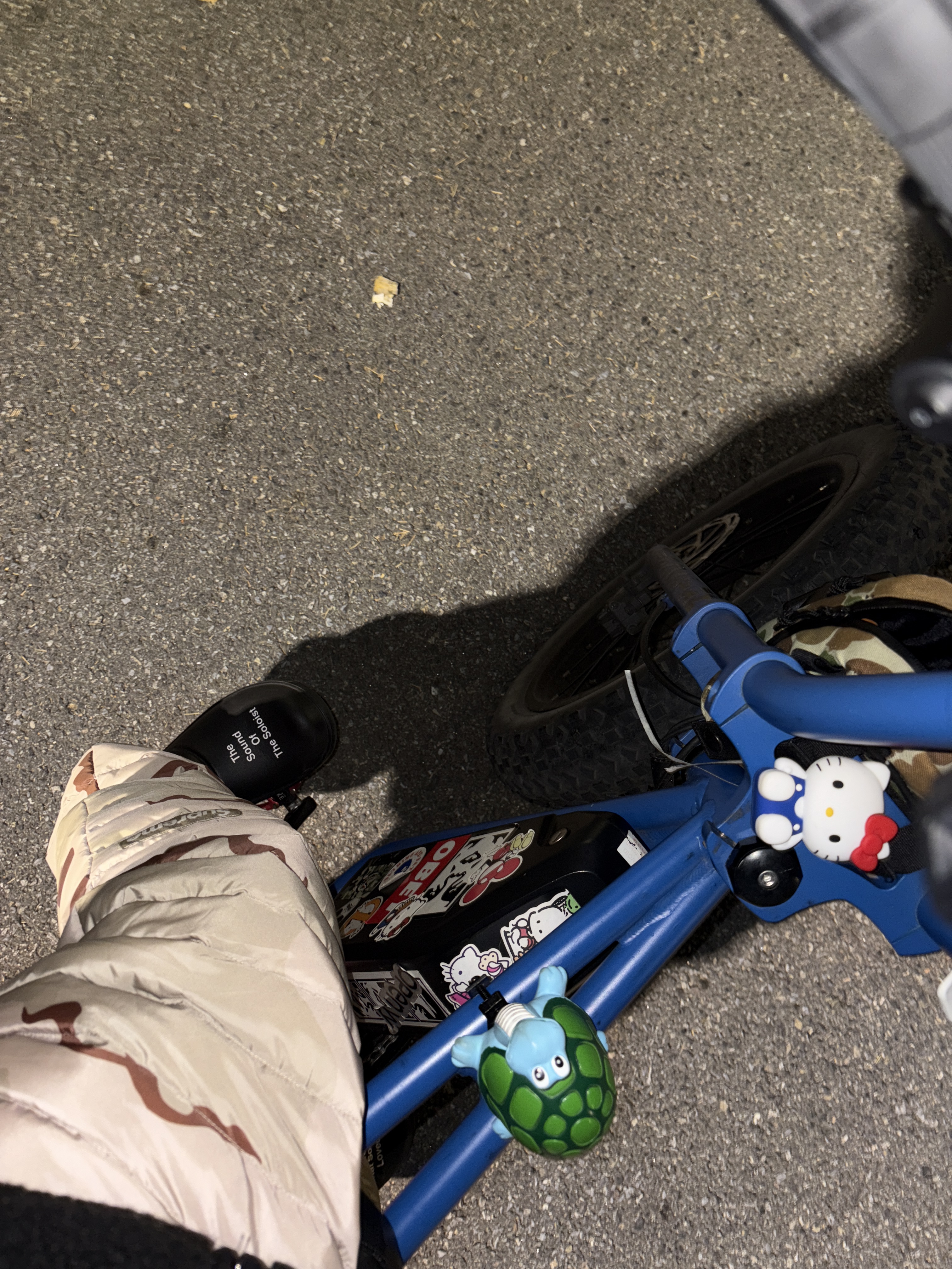 Supreme Micro Down Pant Desert Camo - 24FW 착용 스타일