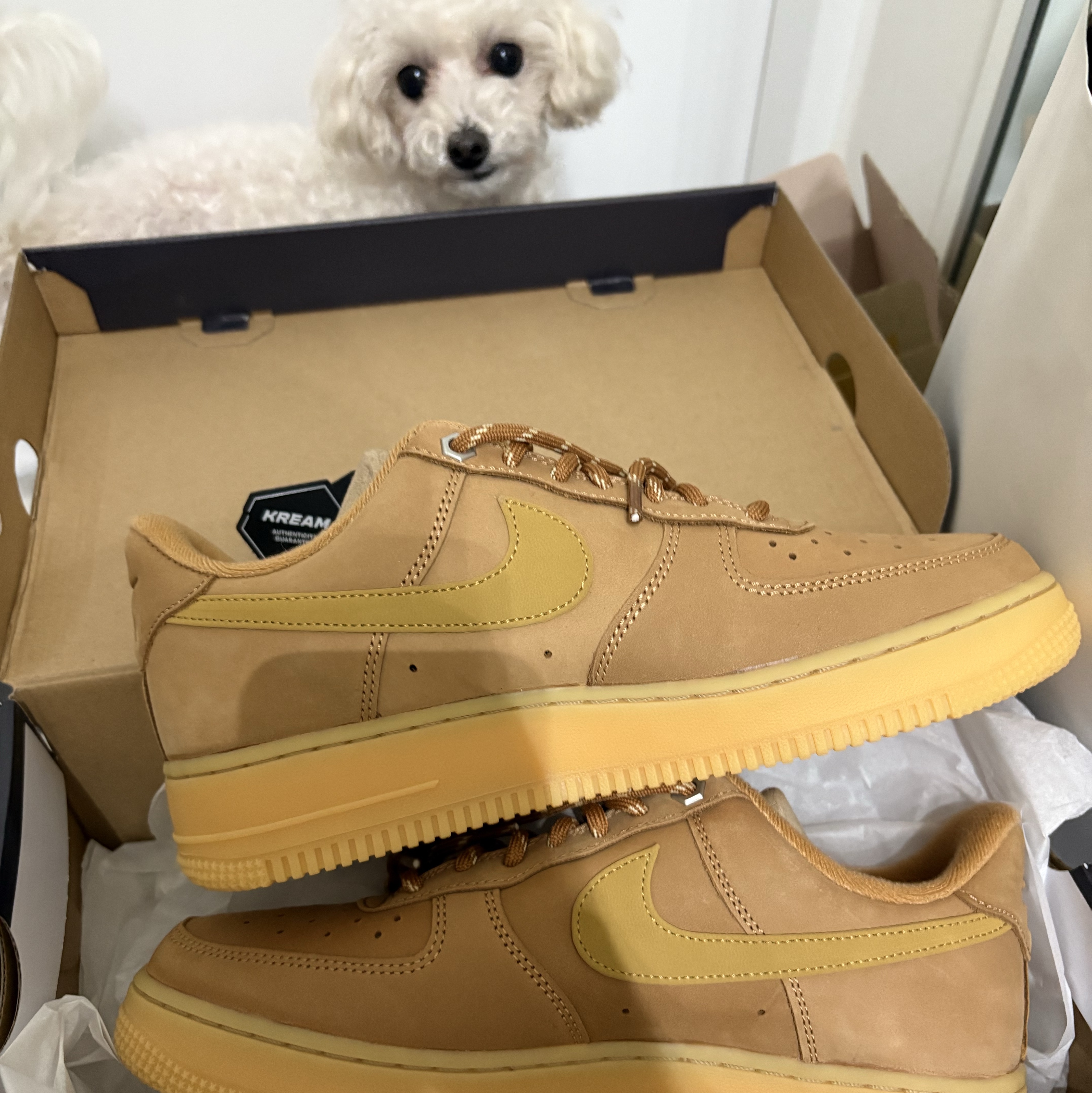 Nike Air Force 1 '07 WB Flax 착용 스타일
