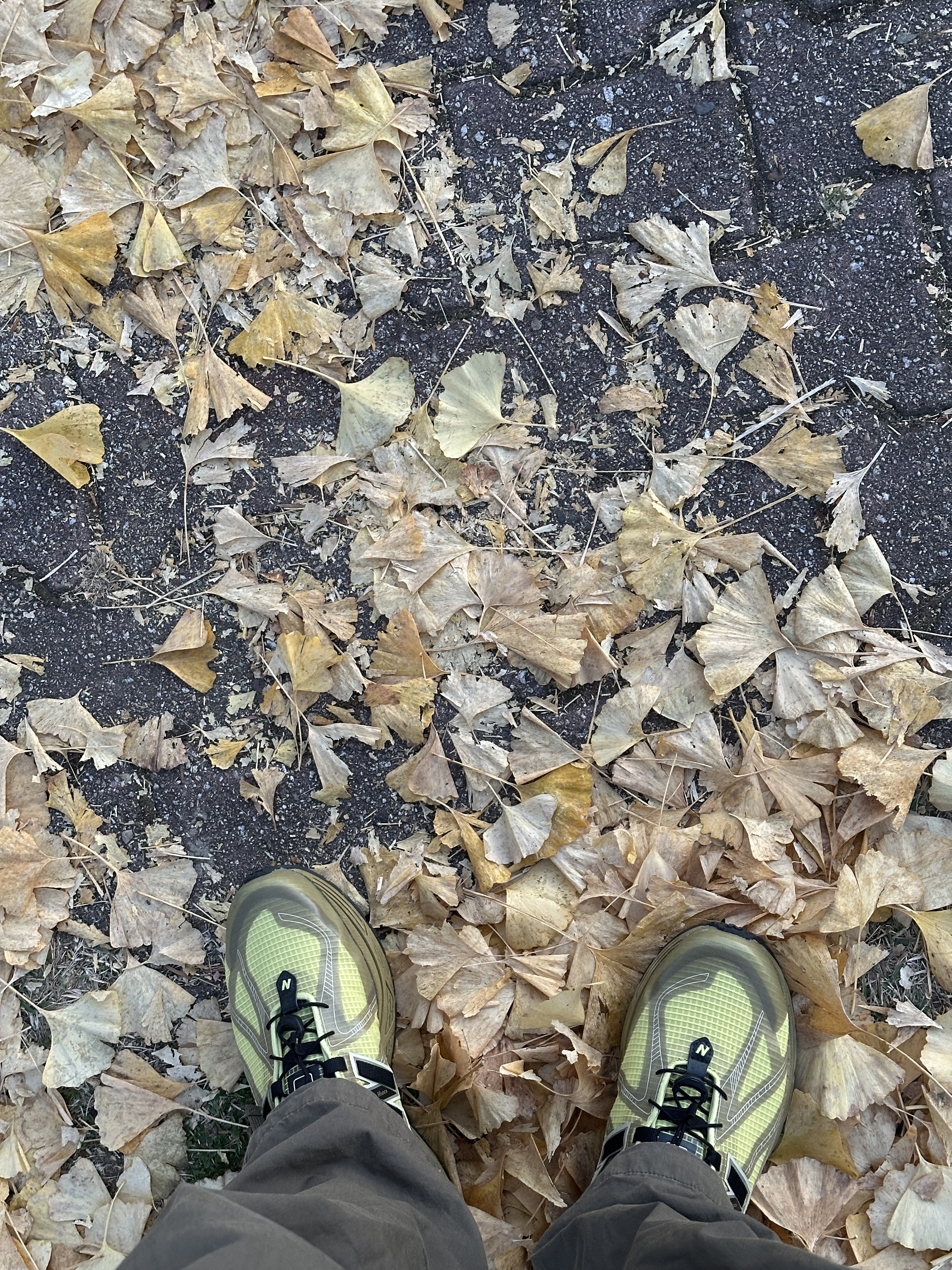 New Balance x Cayl 1906R Yellow 착용 스타일