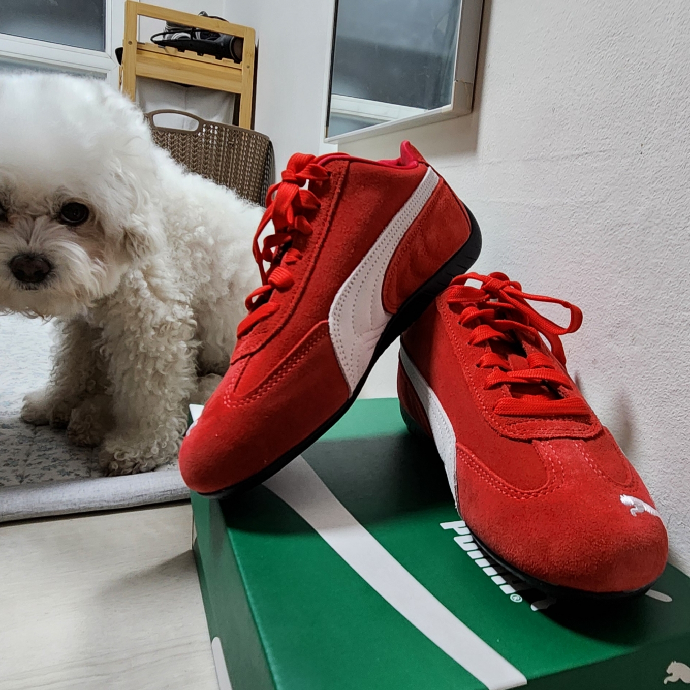 Puma Speedcat OG Red White 착용 스타일