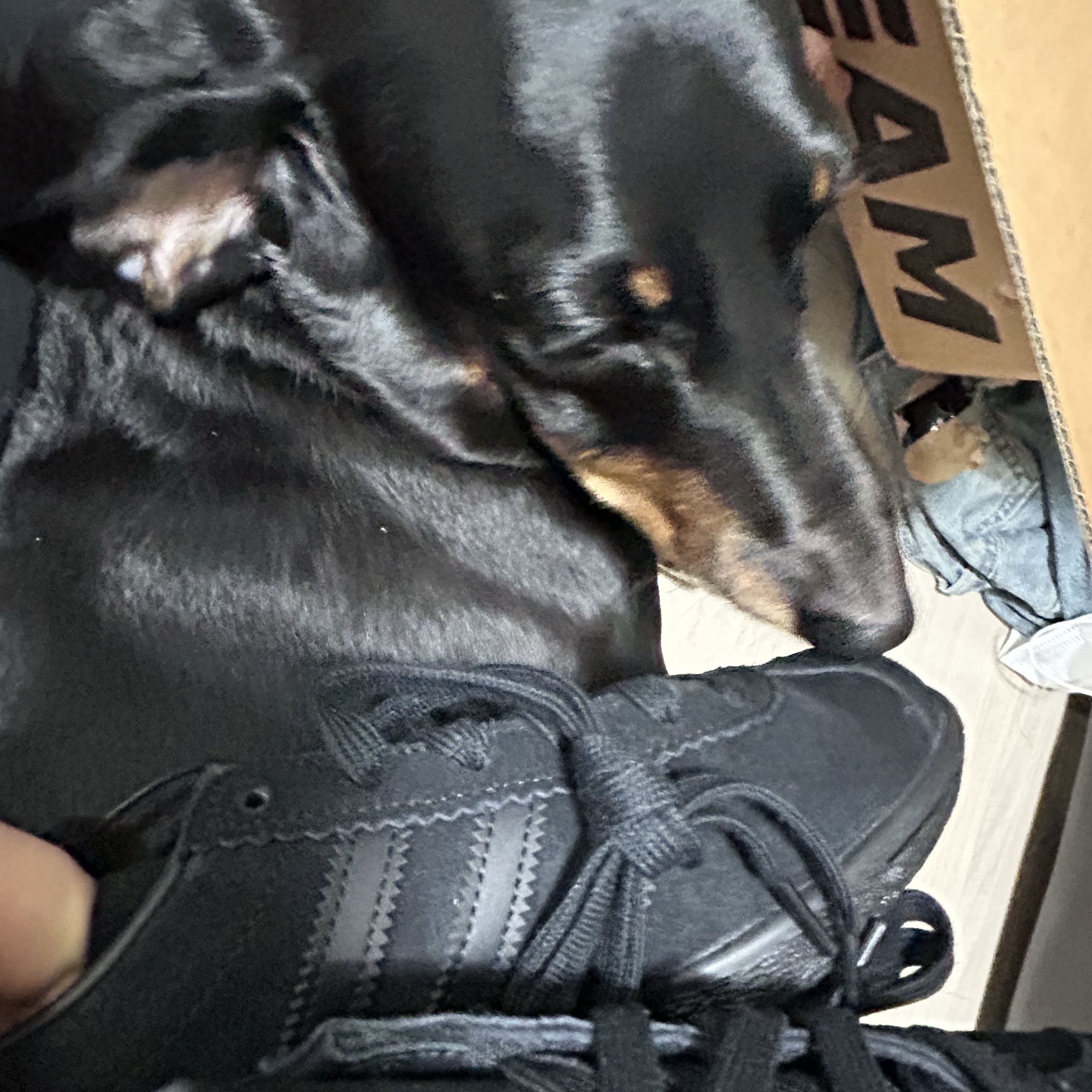 Adidas Stadt Core Black Carbon 착용 스타일 - 3