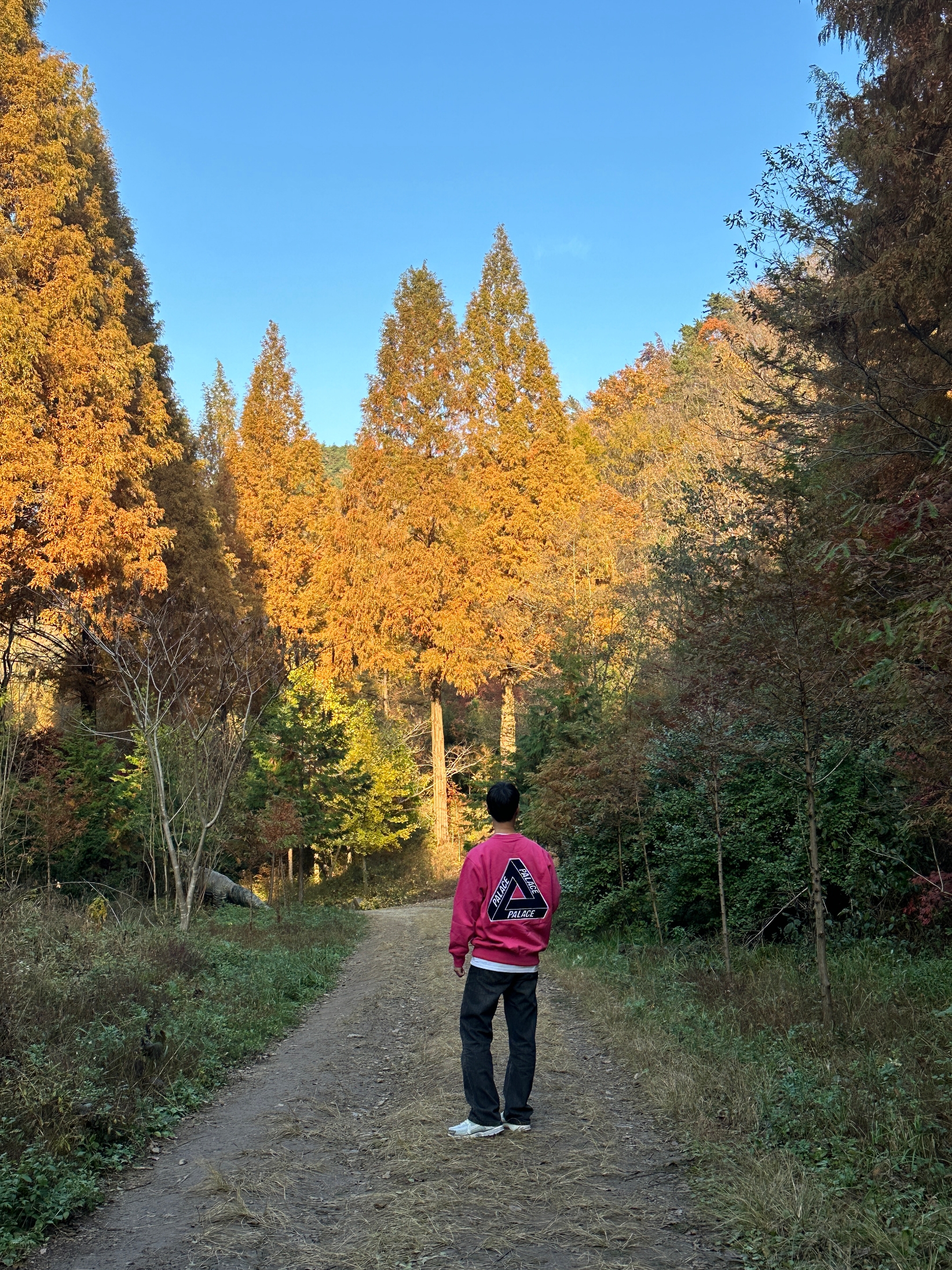 Palace Chenille Tri-Ferg Crew Berry Red - 24FW 착용 스타일 - 2
