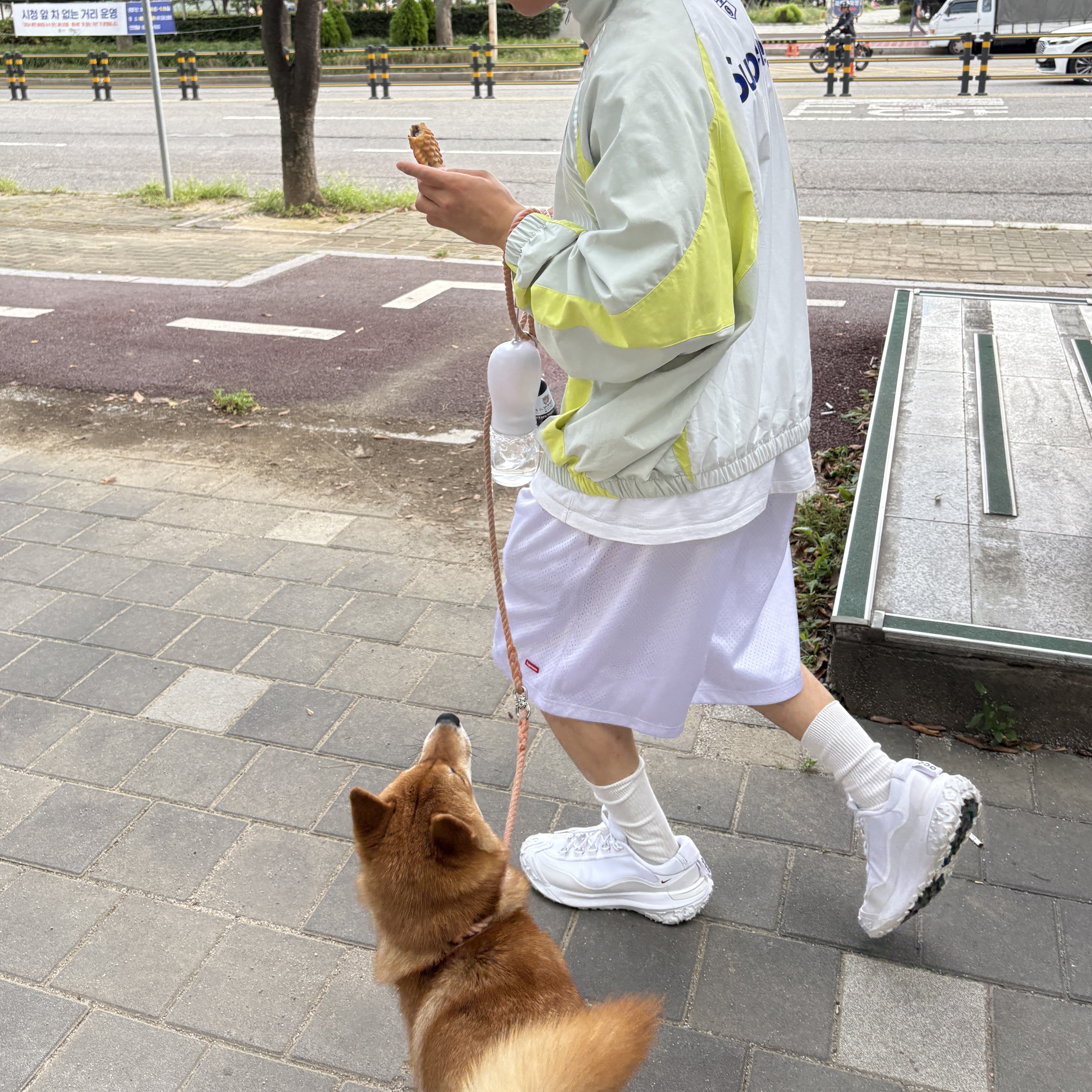 Supreme S Logo Track Jacket Light Mint - 24FW, Supreme Small Box Baggy Mesh Short White - 24SS 착용 스타일 - 2