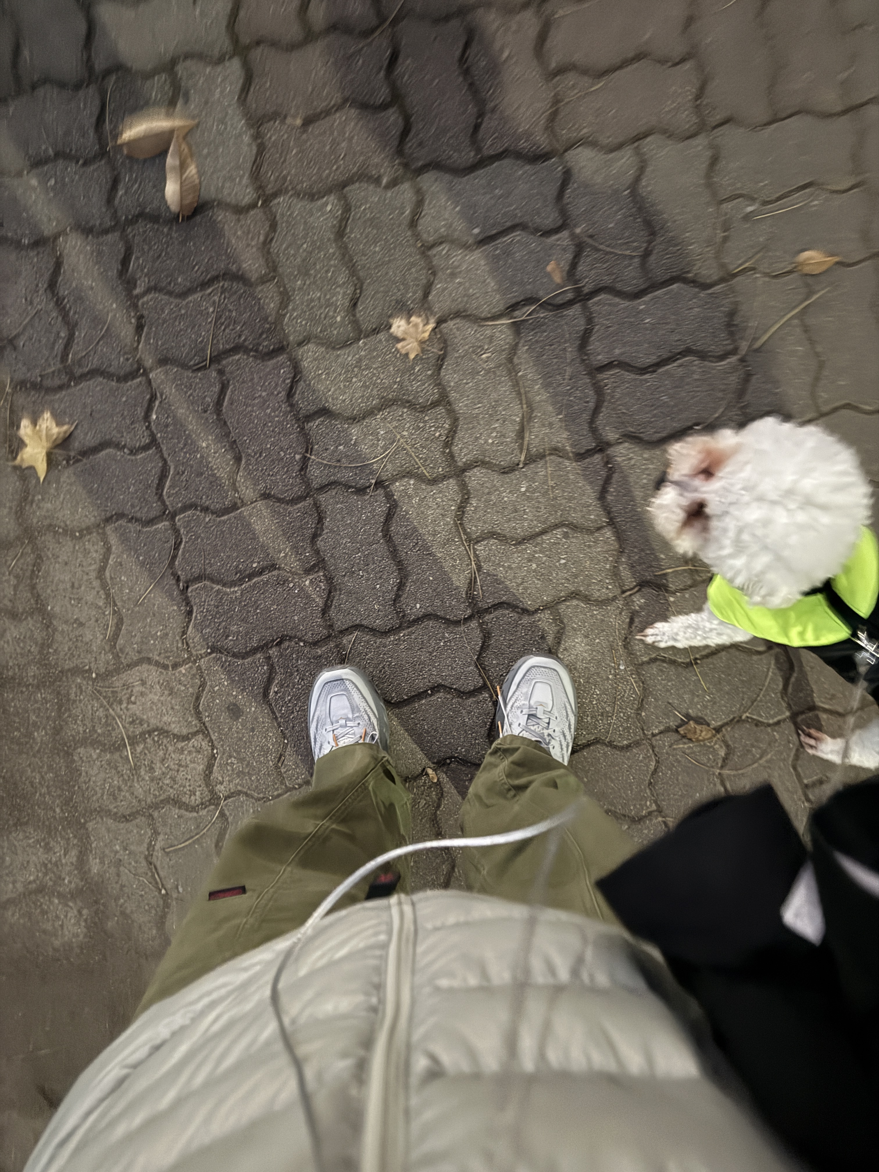 Arc'teryx Cerium Hoody Habitat, Hoka Speedgoat 5 White Black 착용 스타일
