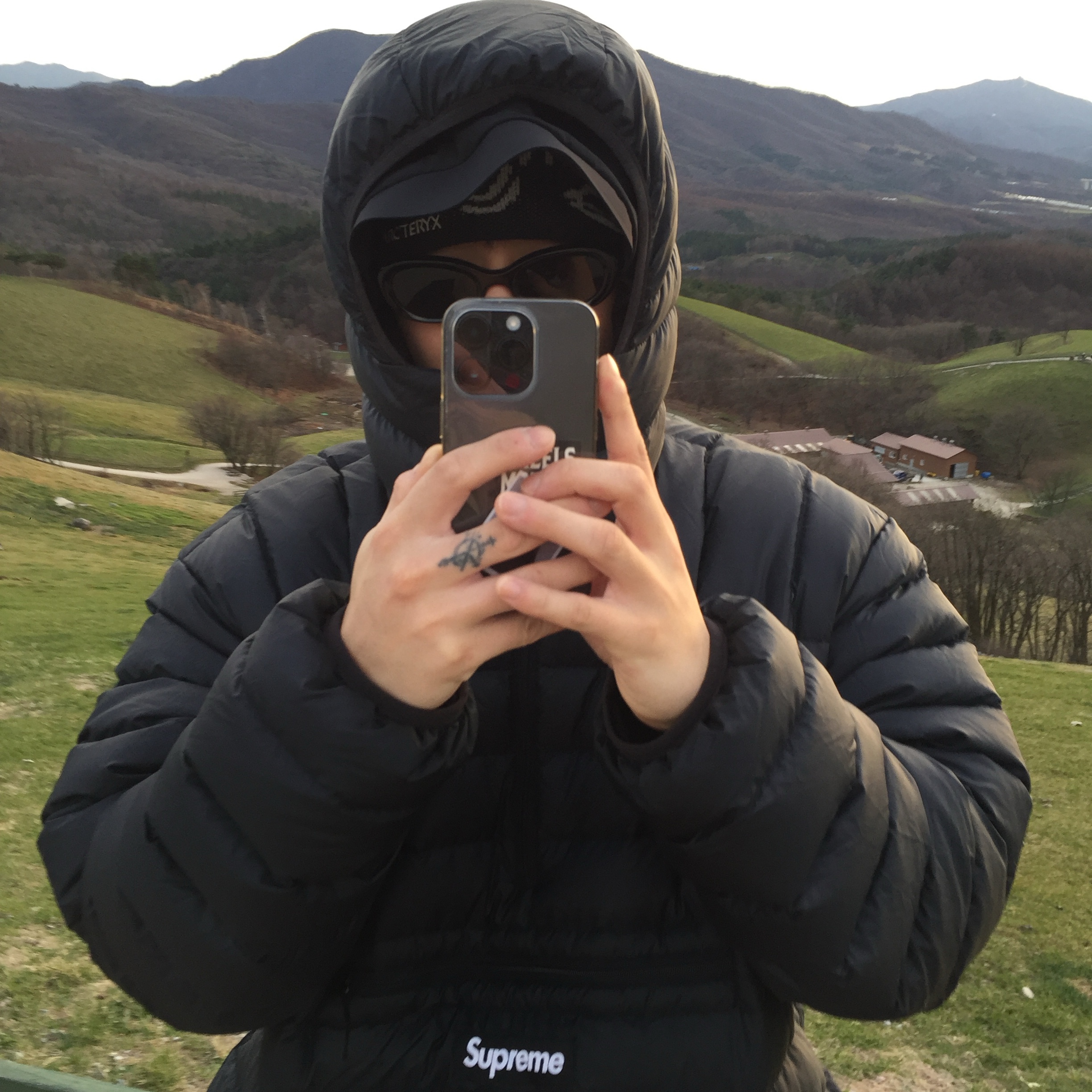Supreme Micro Down Half Zip Hooded Pullover Black - 24FW, Arc'teryx Bird Head Toque Orca 착용 스타일