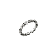 Scudo Bay Tree Ring