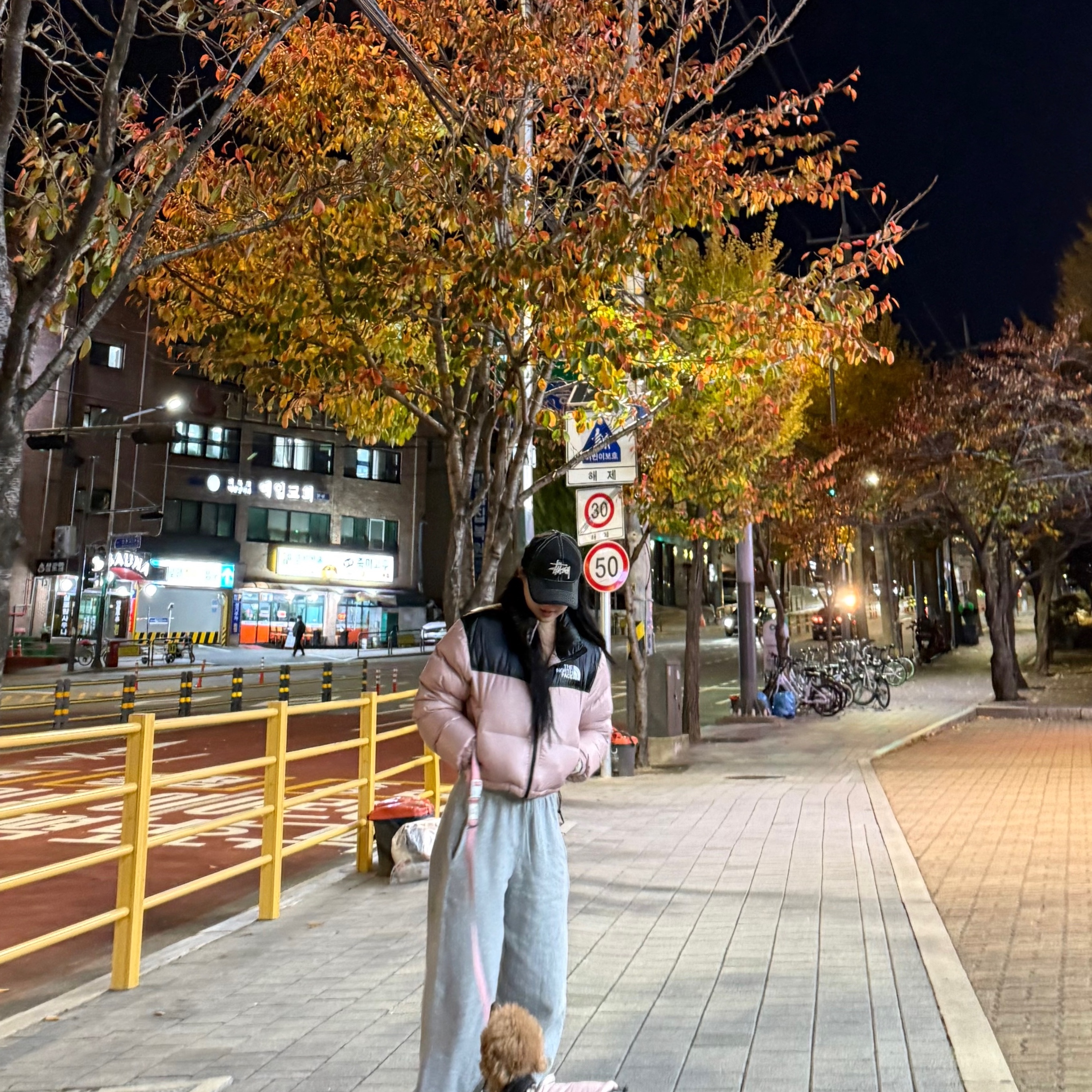 (W) The North Face Nuptse Short Jacket Pastel Pink, Stussy New Era 9twenty Basic Trucker Black 착용 스타일 - 1