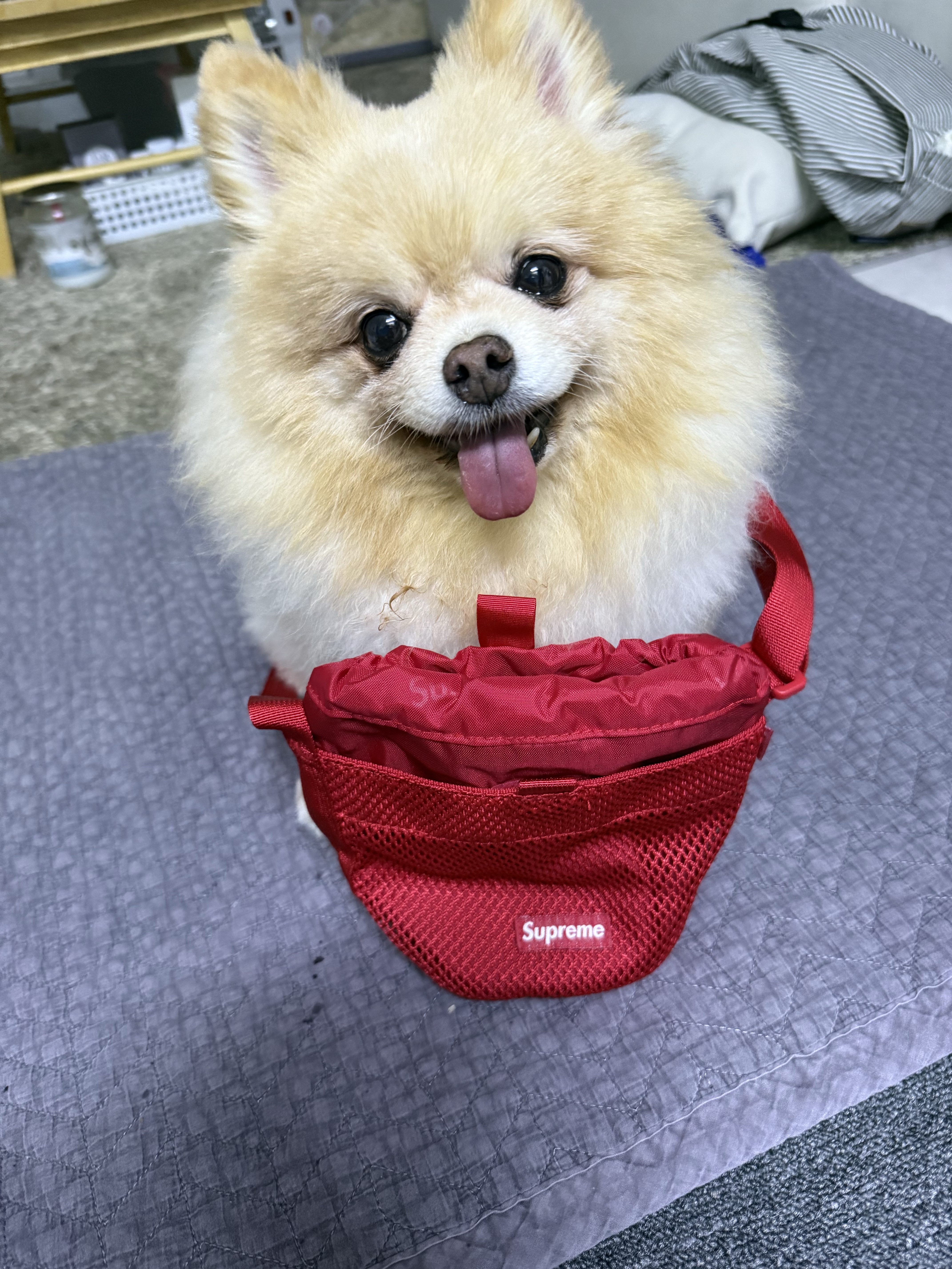 Supreme Small Cinch Pouch Red - 23FW 착용 스타일 - 1