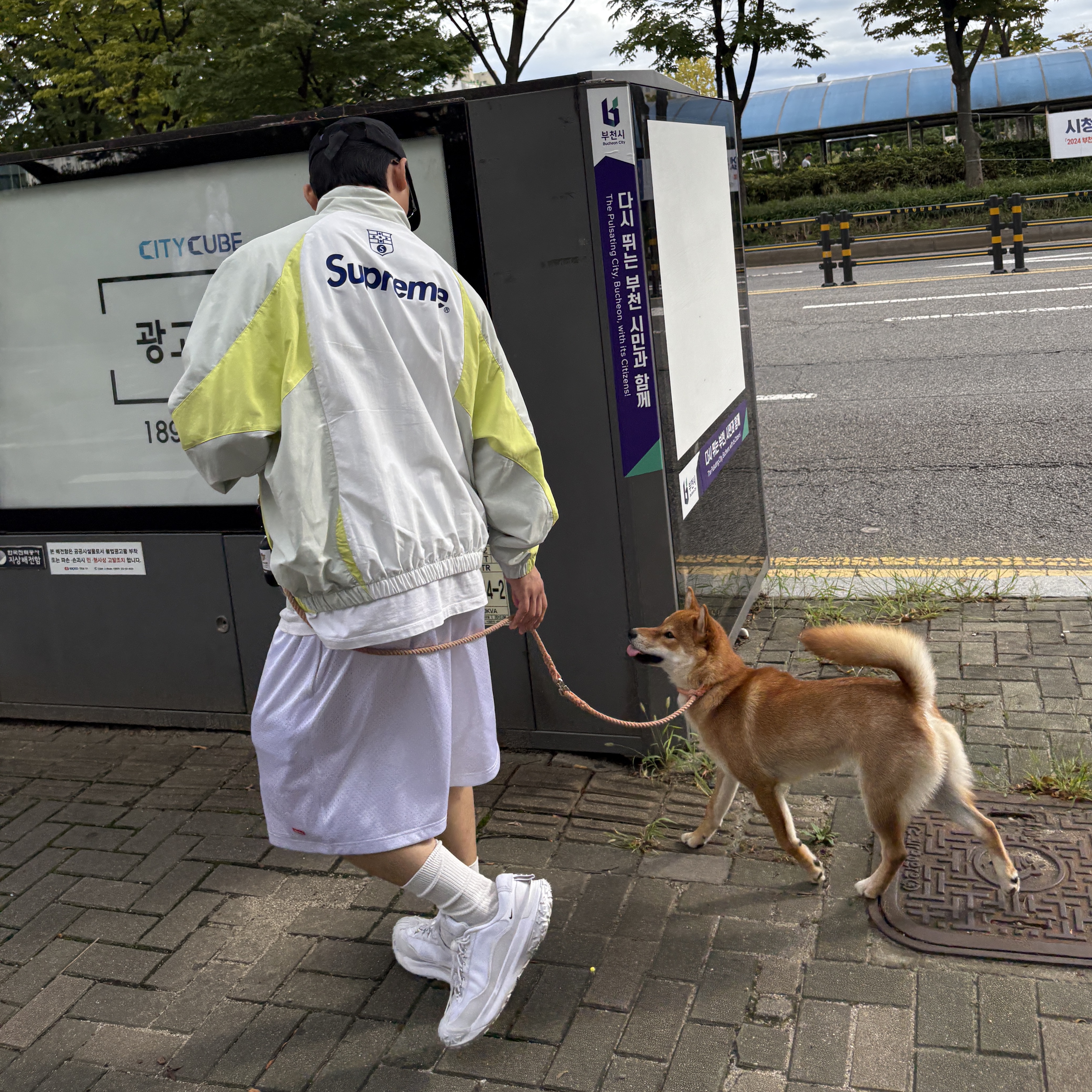 Supreme S Logo Track Jacket Light Mint - 24FW, Supreme Small Box Baggy Mesh Short White - 24SS 착용 스타일 - 1