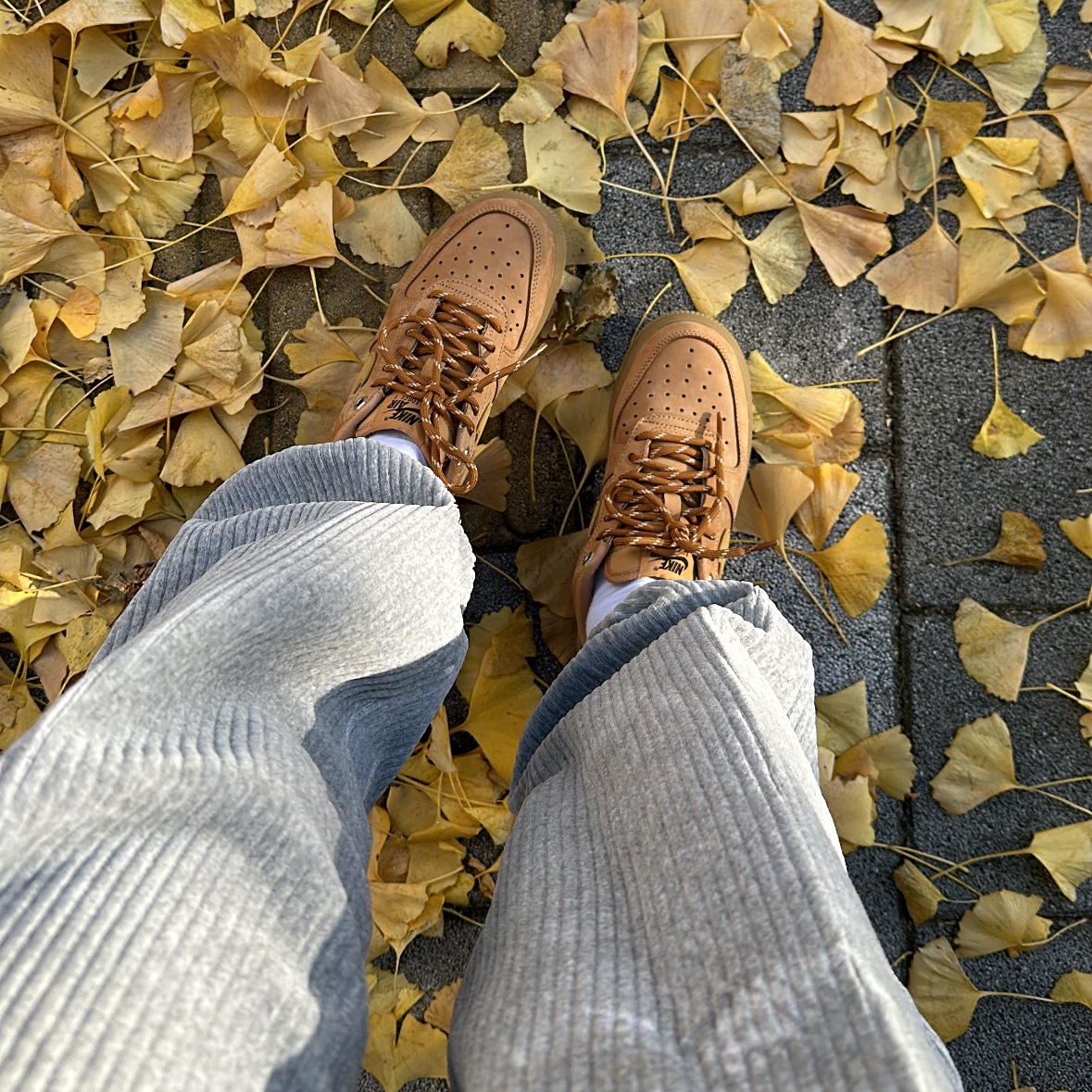 (W) Nike Air Force 1 '07 WB Flax Wheat 착용 스타일