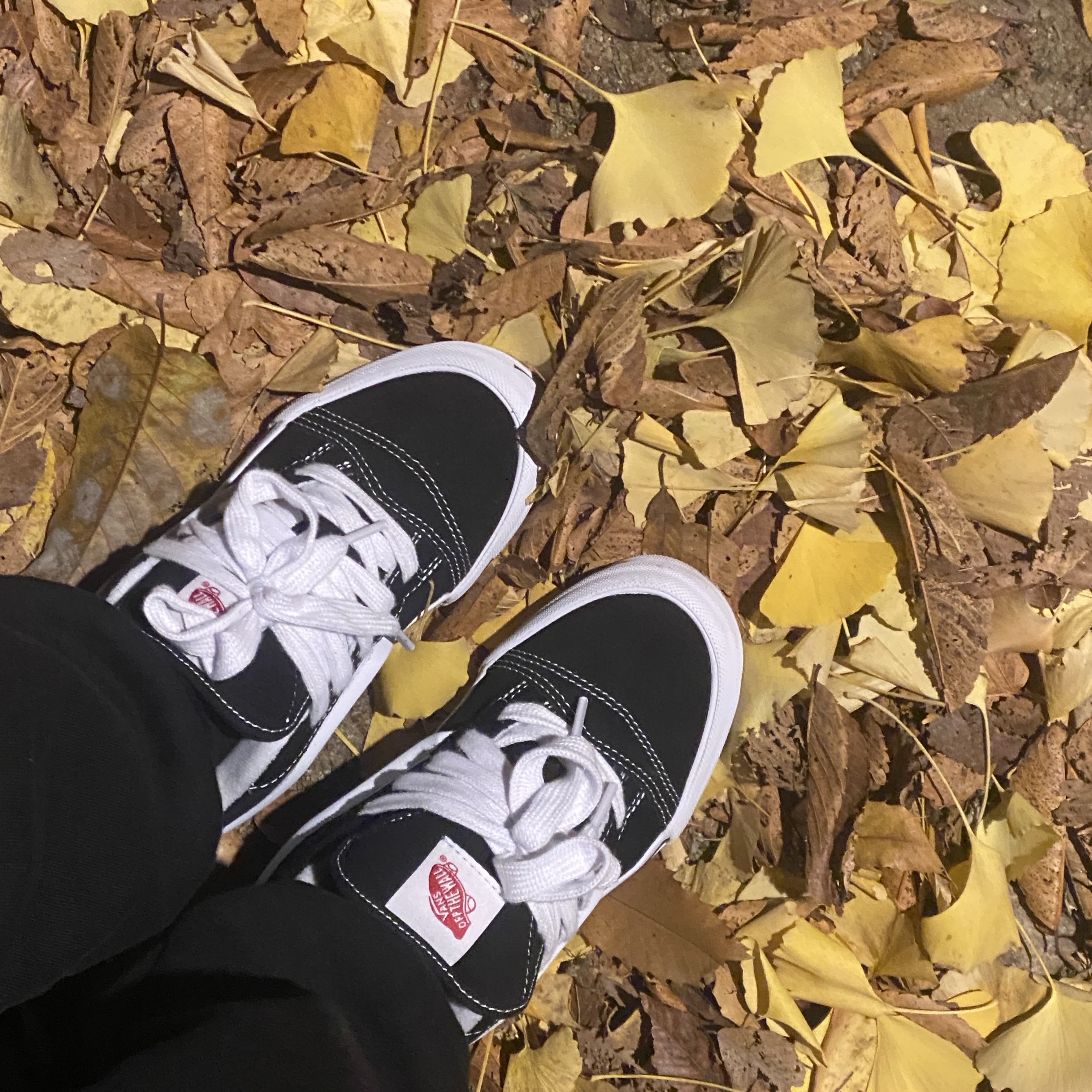 Vans Knu-Skool Black True White 착용 스타일