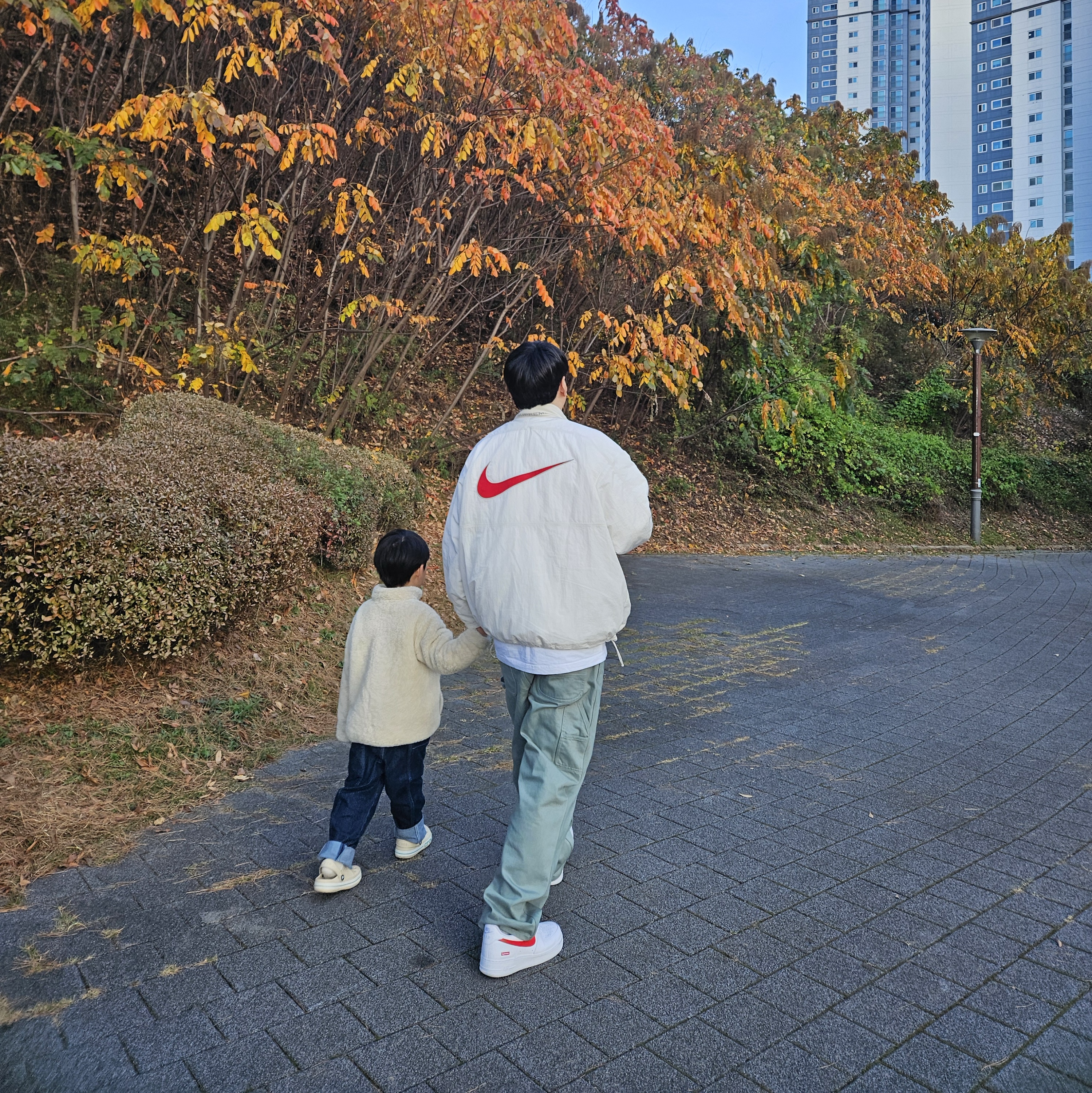 Supreme x Nike Ripstop Pullover White - 24SS, Supreme Denim Painter Pants Mint - 24SS 착용 스타일 - 2