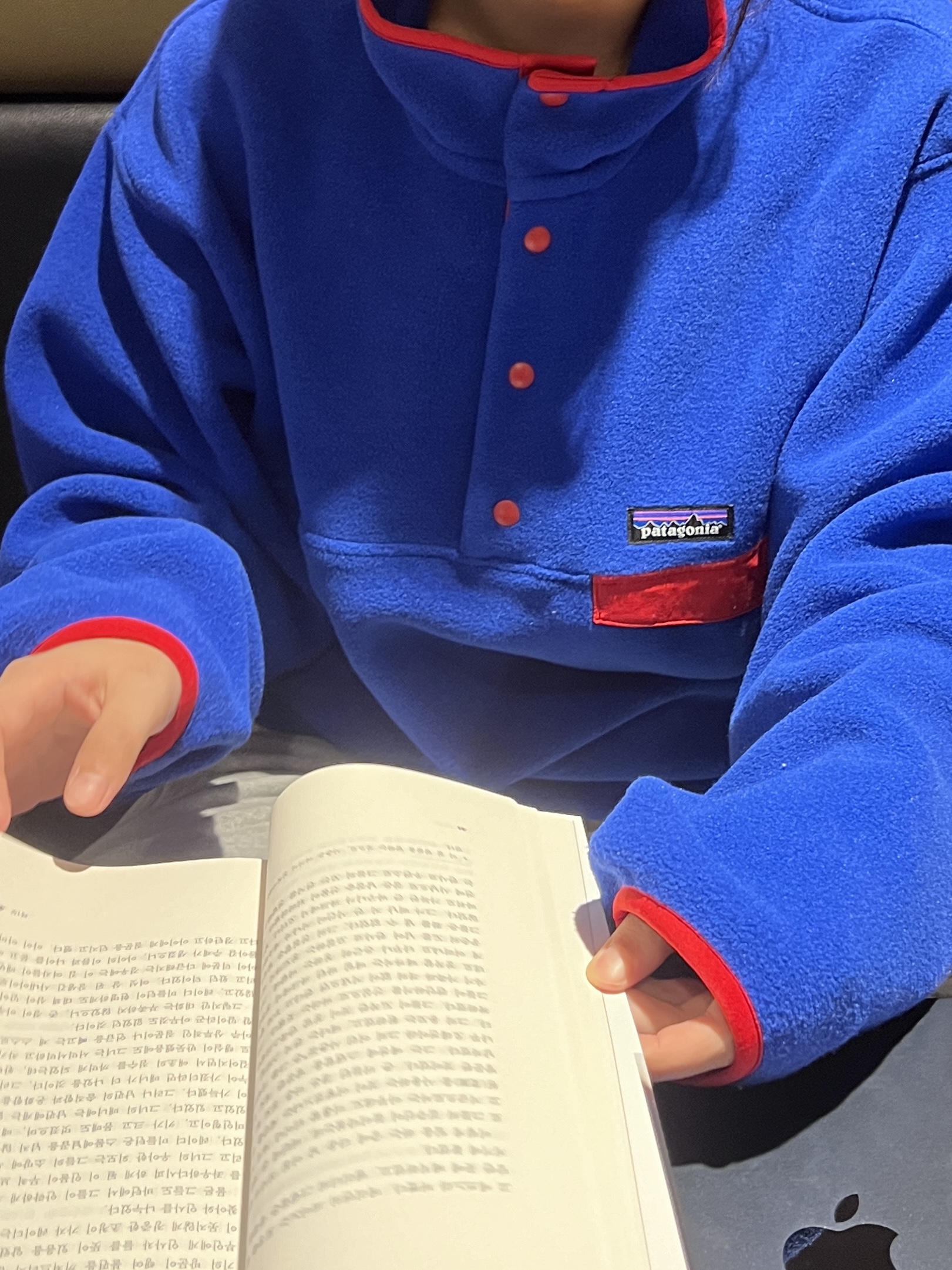 Patagonia Synchilla Snap-T Fleece Pullover Passage Blue 착용 스타일 - 2