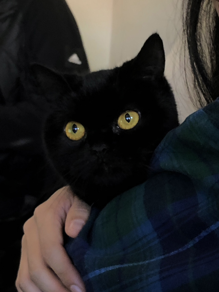 관심 유저 프로필 이미지