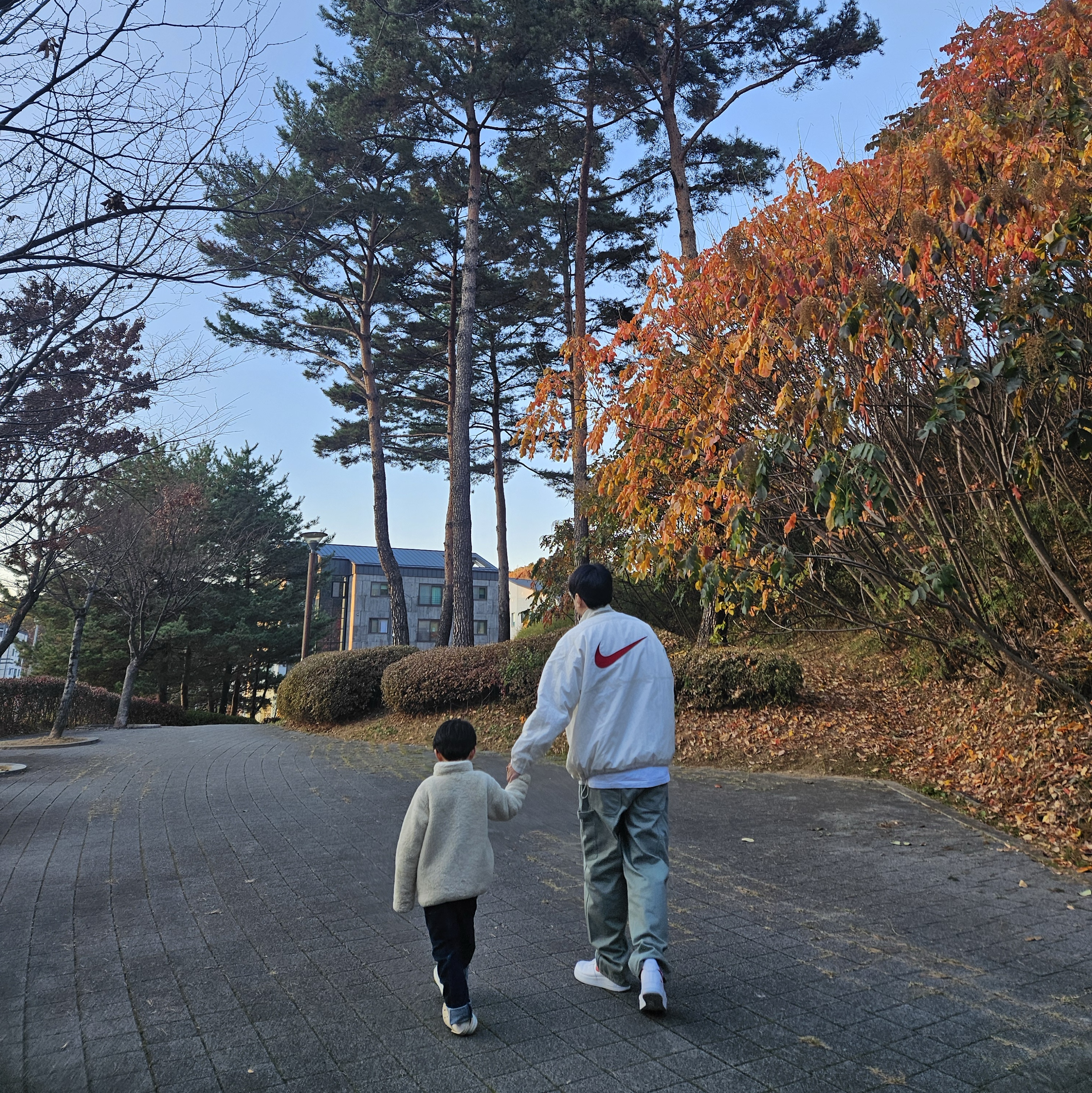 Supreme x Nike Ripstop Pullover White - 24SS, Supreme Denim Painter Pants Mint - 24SS 착용 스타일 - 1