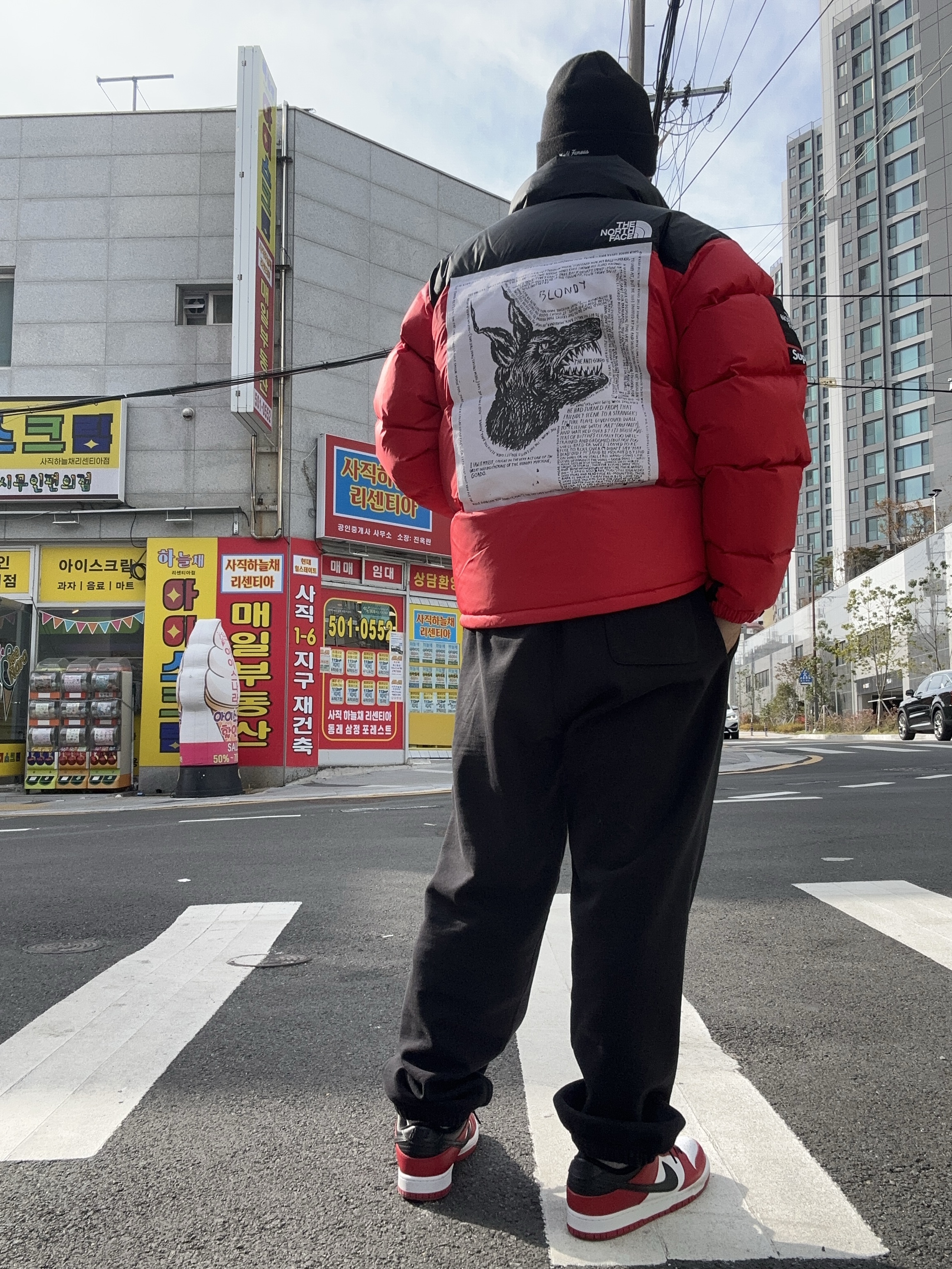 Supreme x The North Face Nuptse Jacket Red - 24FW, Nike SB Dunk Low Pro Chicago 착용 스타일