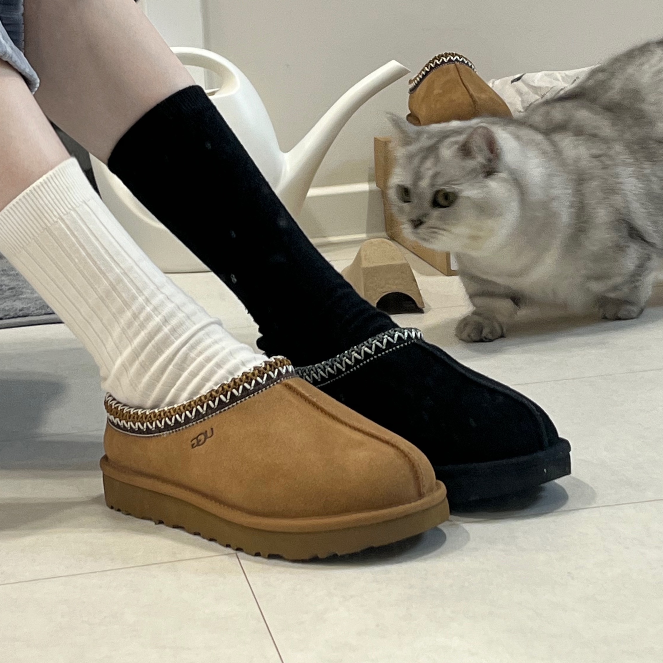 (W) UGG Tasman Slipper Chestnut, (W) UGG Tasman Slipper Black 착용 스타일 - 1