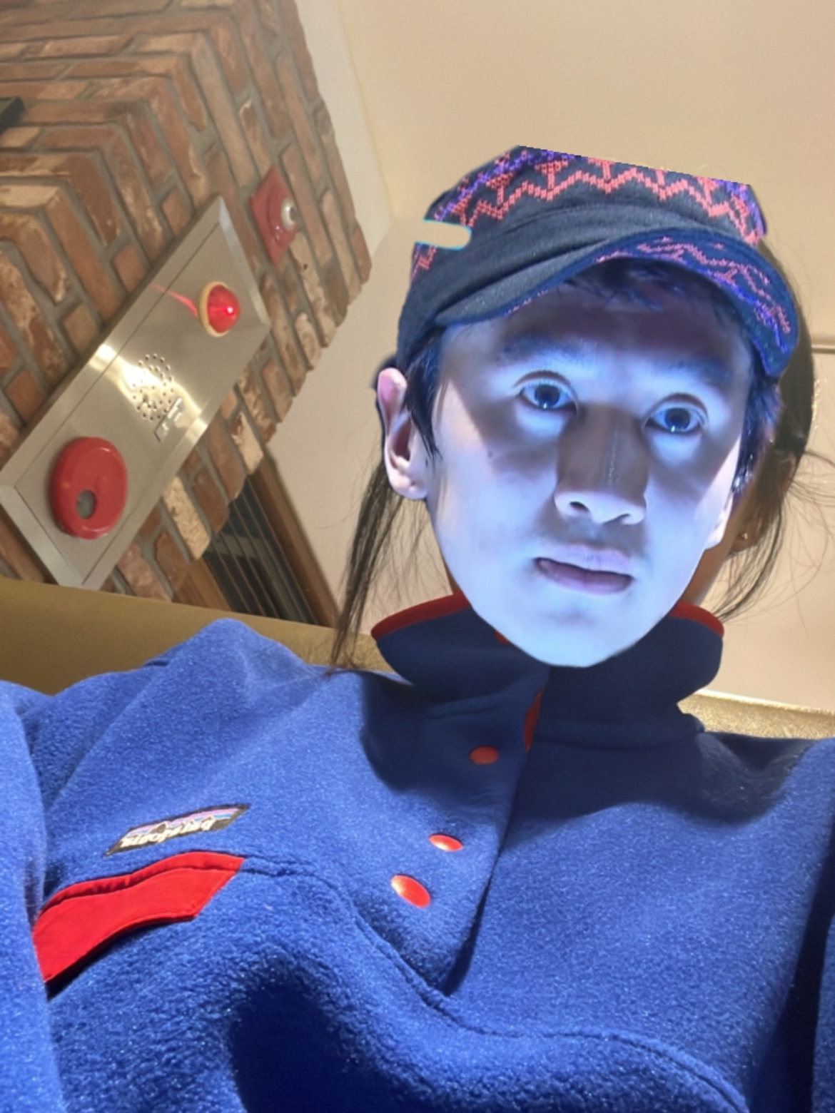 Patagonia Synchilla Snap-T Fleece Pullover Passage Blue 착용 스타일 - 1