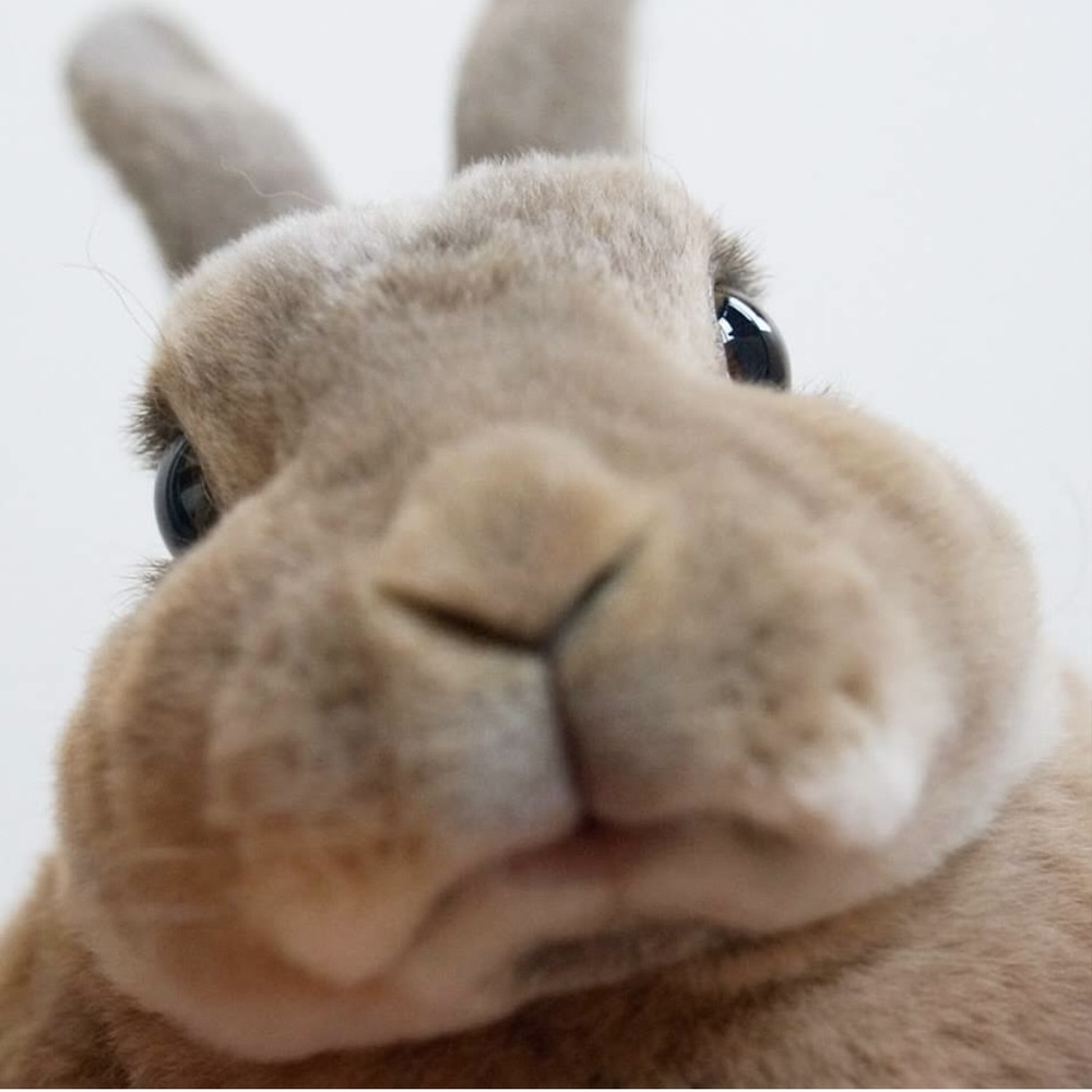 관심 유저 프로필 이미지