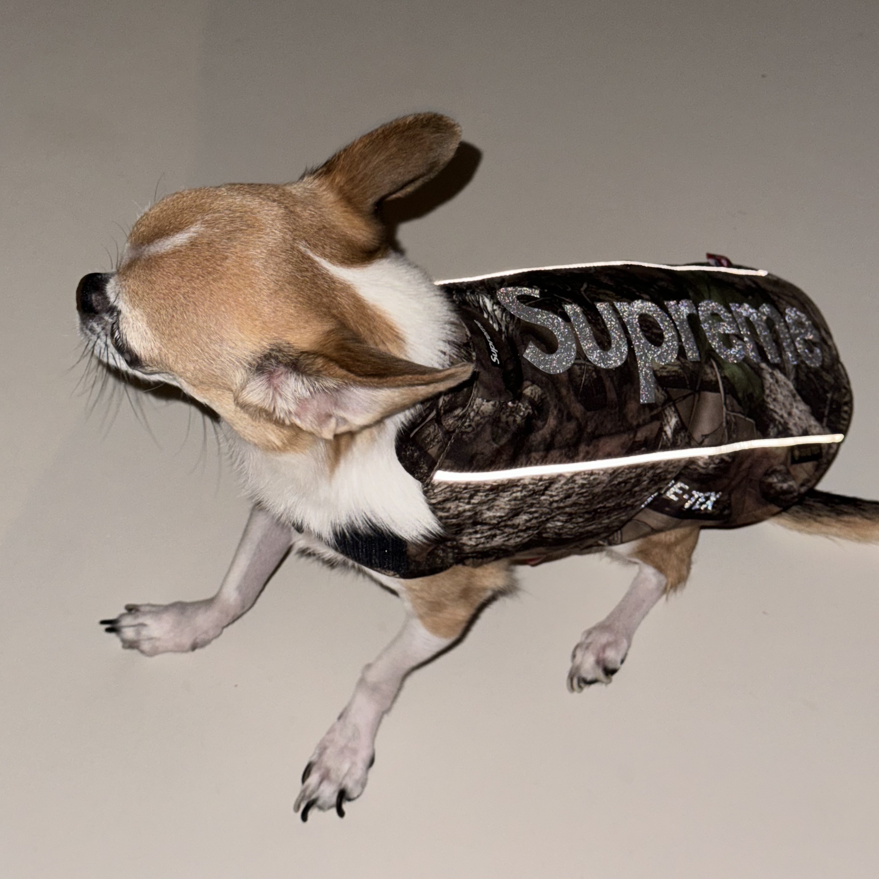 Supreme Gore-Tex Dog Jacket TrueTimber HTC Fall Camo - 24FW, Supreme x Hysteric Glamour Vanson Leathers Jacket Black - 24FW 착용 스타일 - 1
