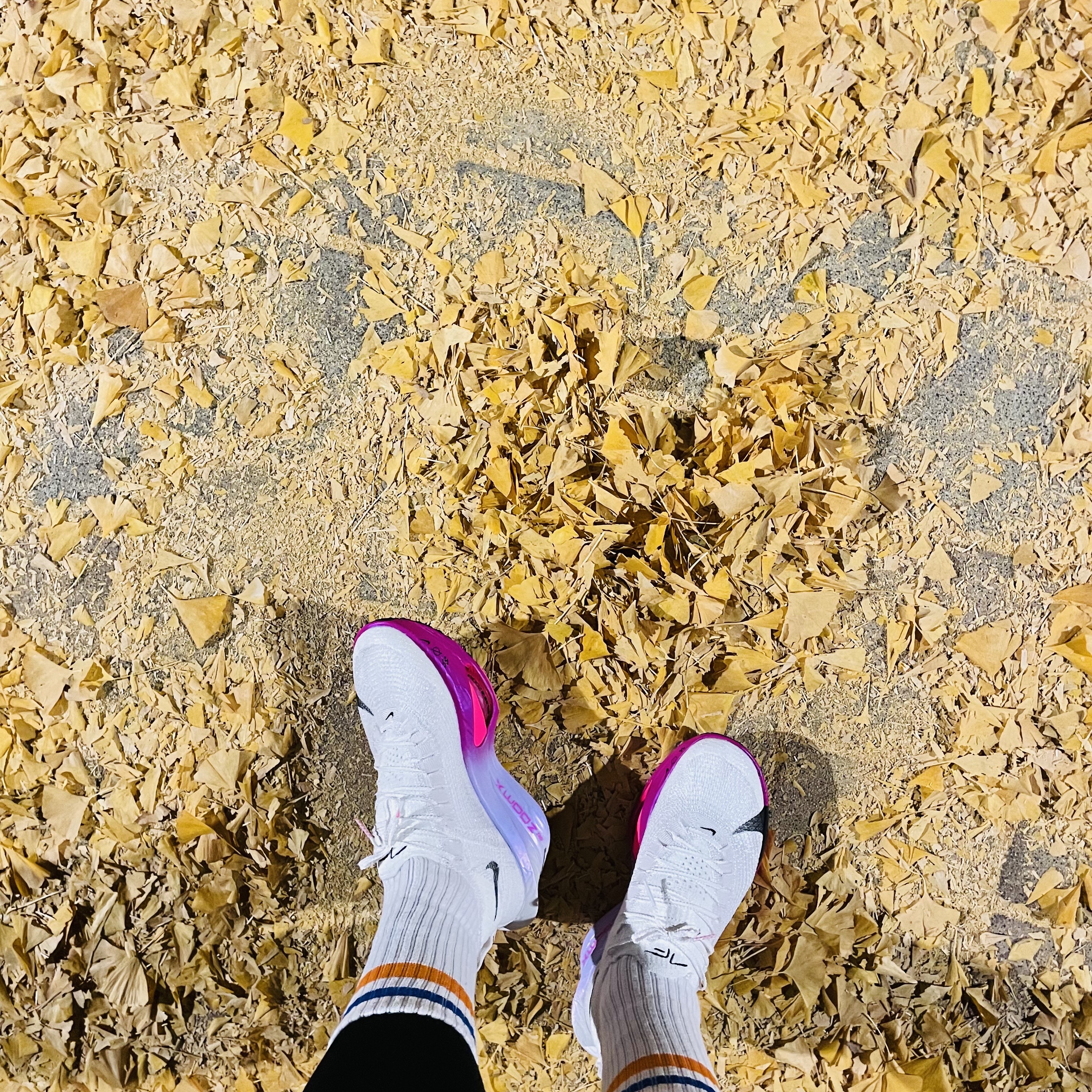Nike Air Zoom Alphafly Next% 3 Hyper Pink 착용 스타일 - 5